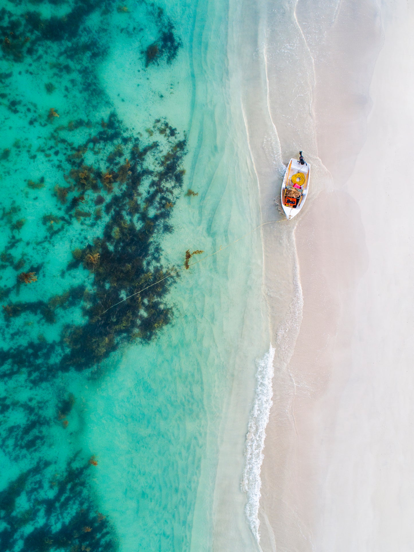 IA0066 ~ Hamelin Bay ~ South West
