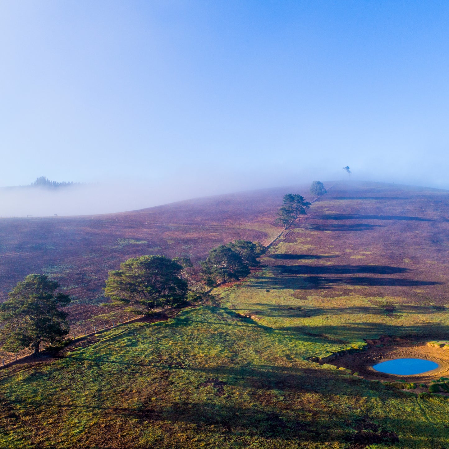 IA0107 ~ Nannup ~ South West