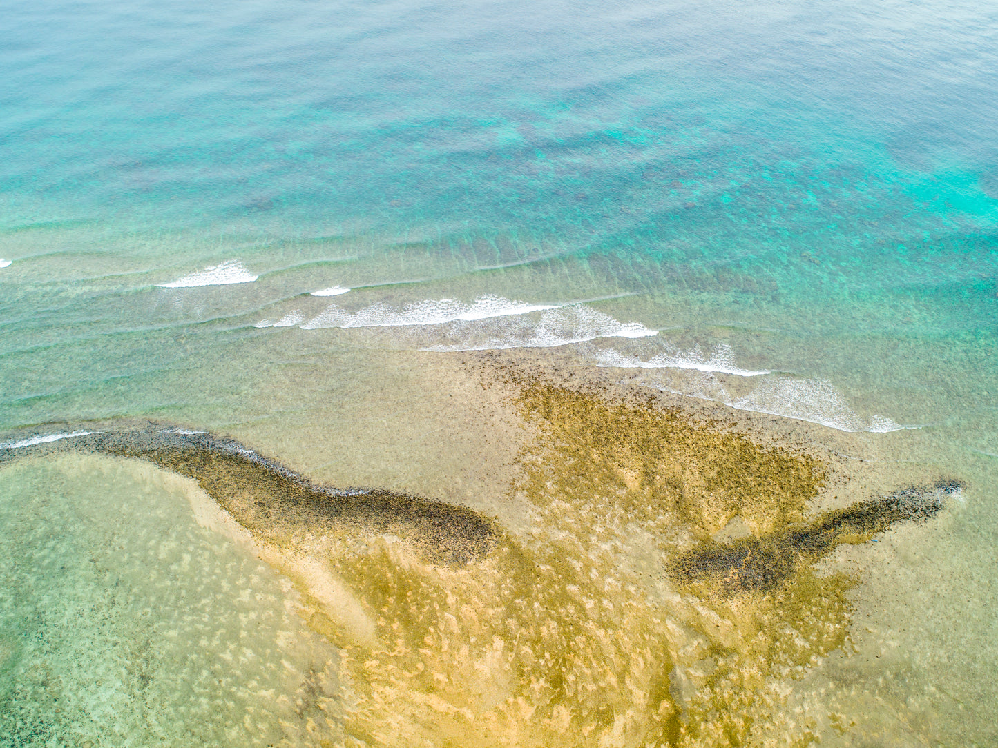 IA0113 ~ Gili Air ~ Indonesia