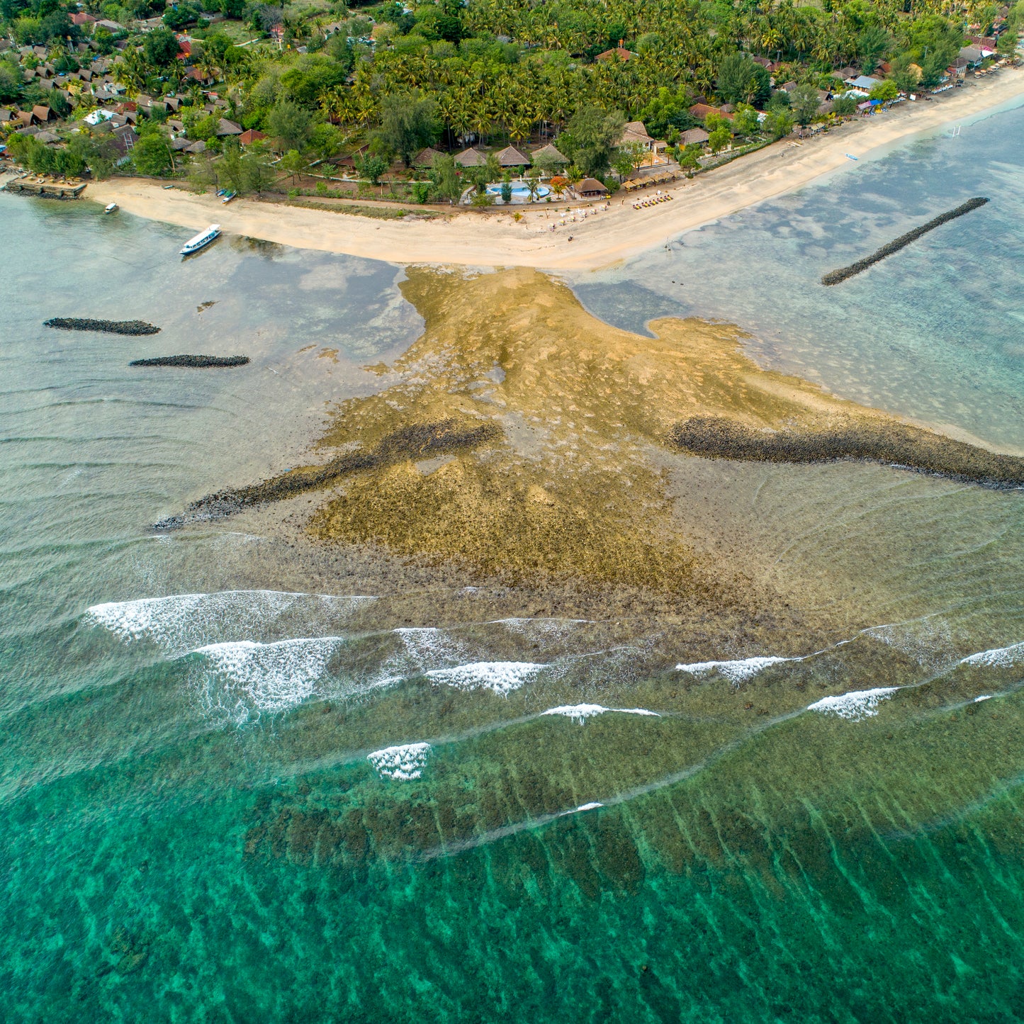 IA0117 ~ Gili Air ~ Indonesia