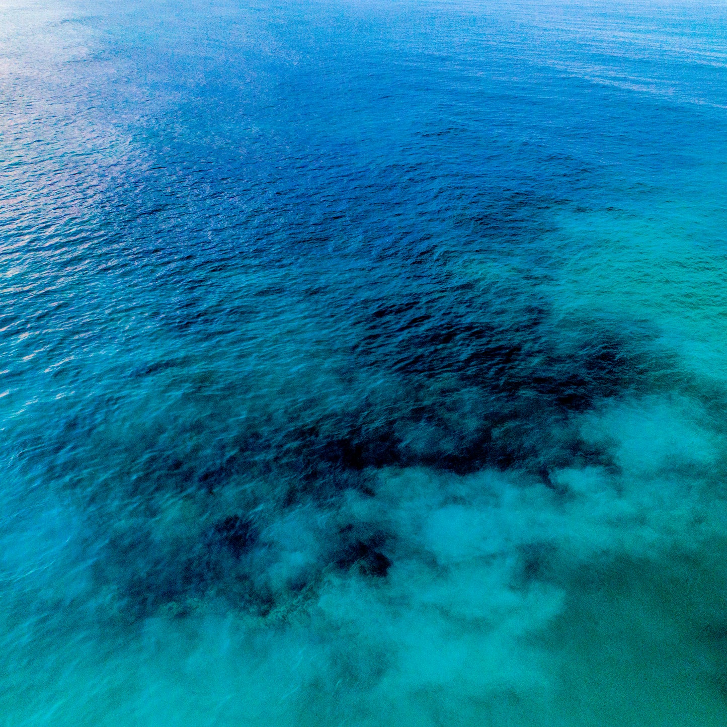 IA0153 ~ Dongara ~ Coral Coast