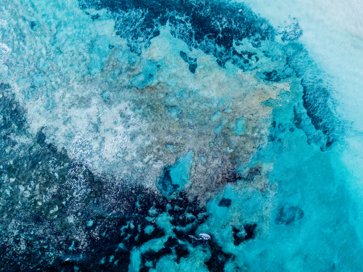 IA0156 ~ Dongara ~ Coral Coast