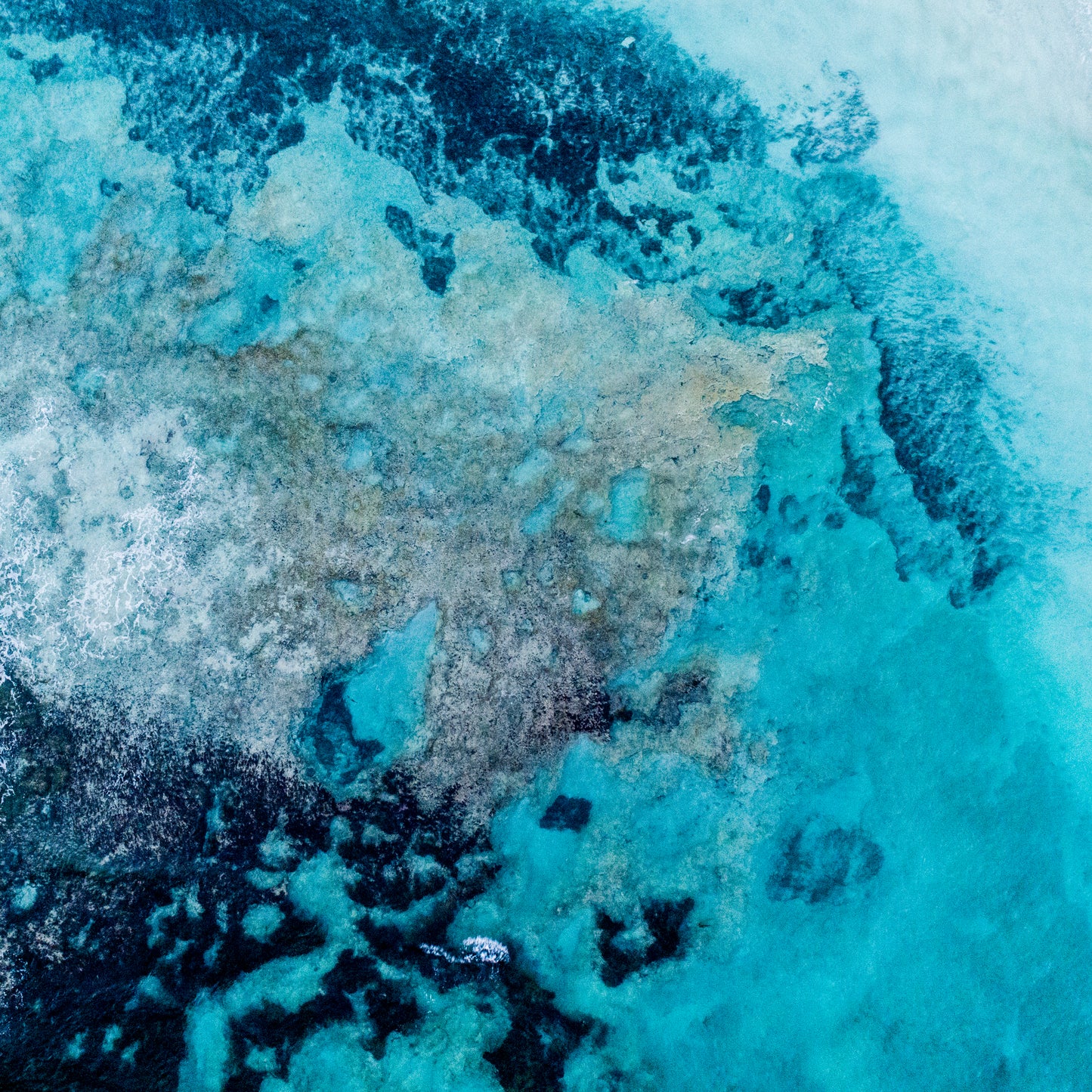 IA0156 ~ Dongara ~ Coral Coast
