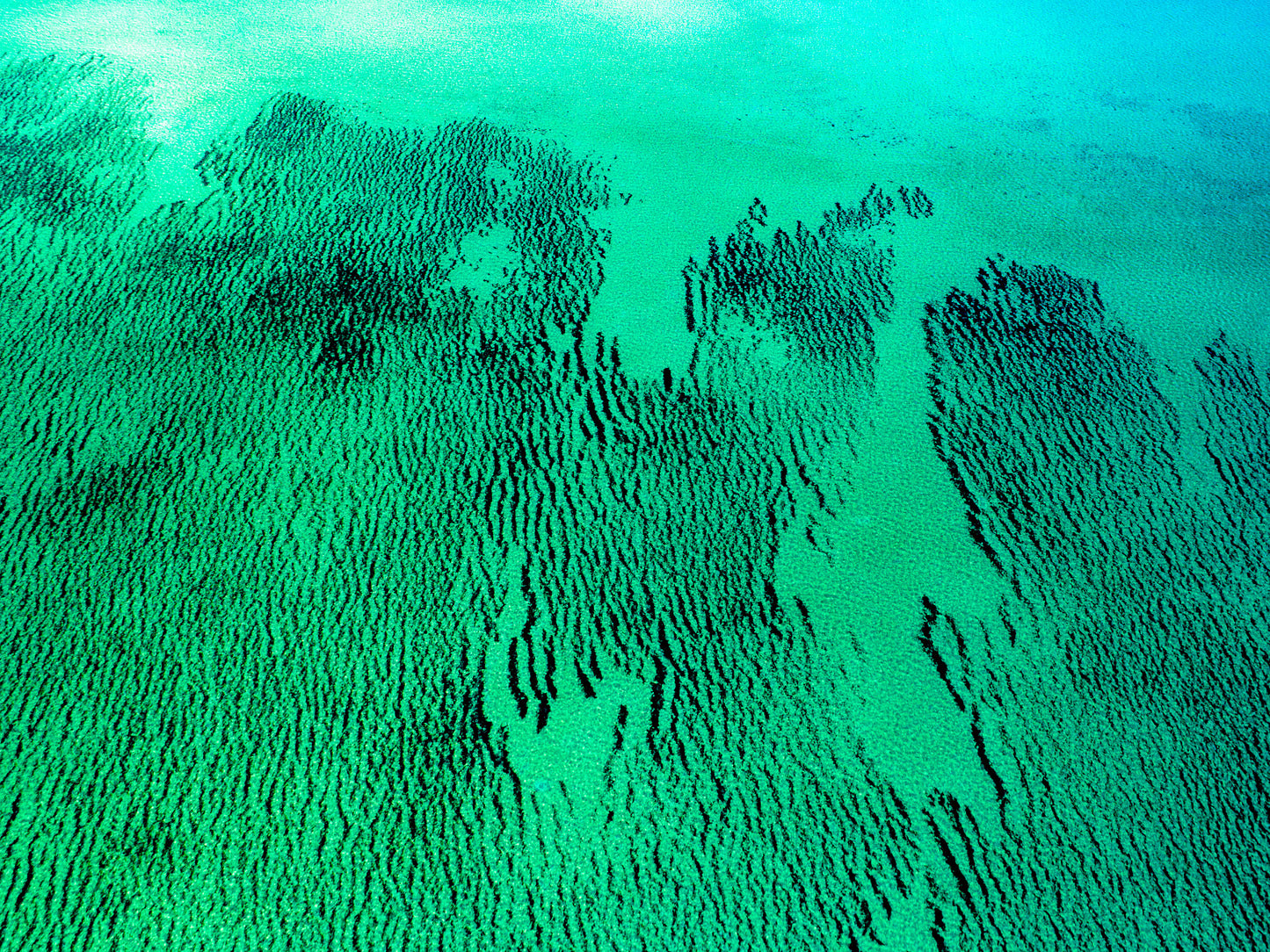 IA0185 - SHARK BAY