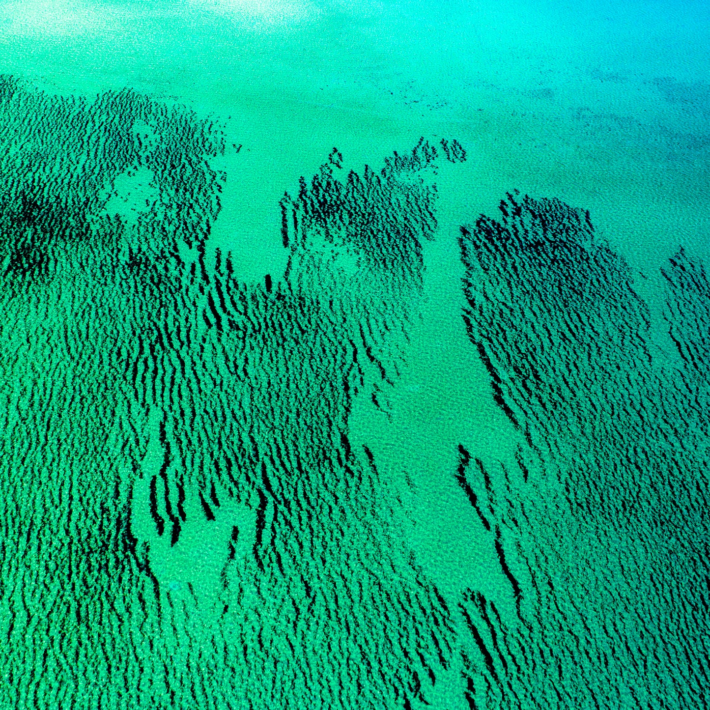 IA0185 - SHARK BAY