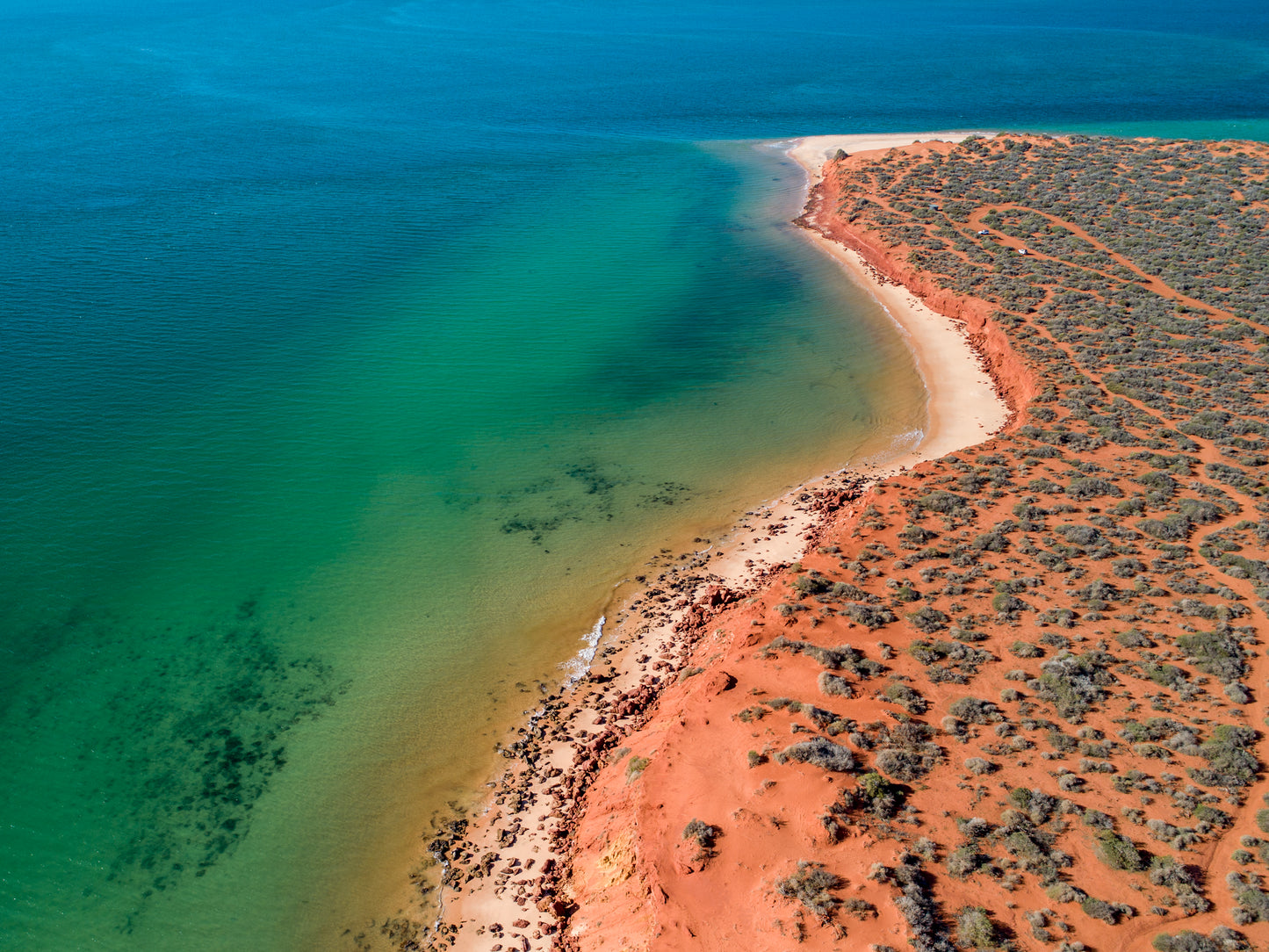 IA0202 ~ Shark Bay ~ Coral Coast