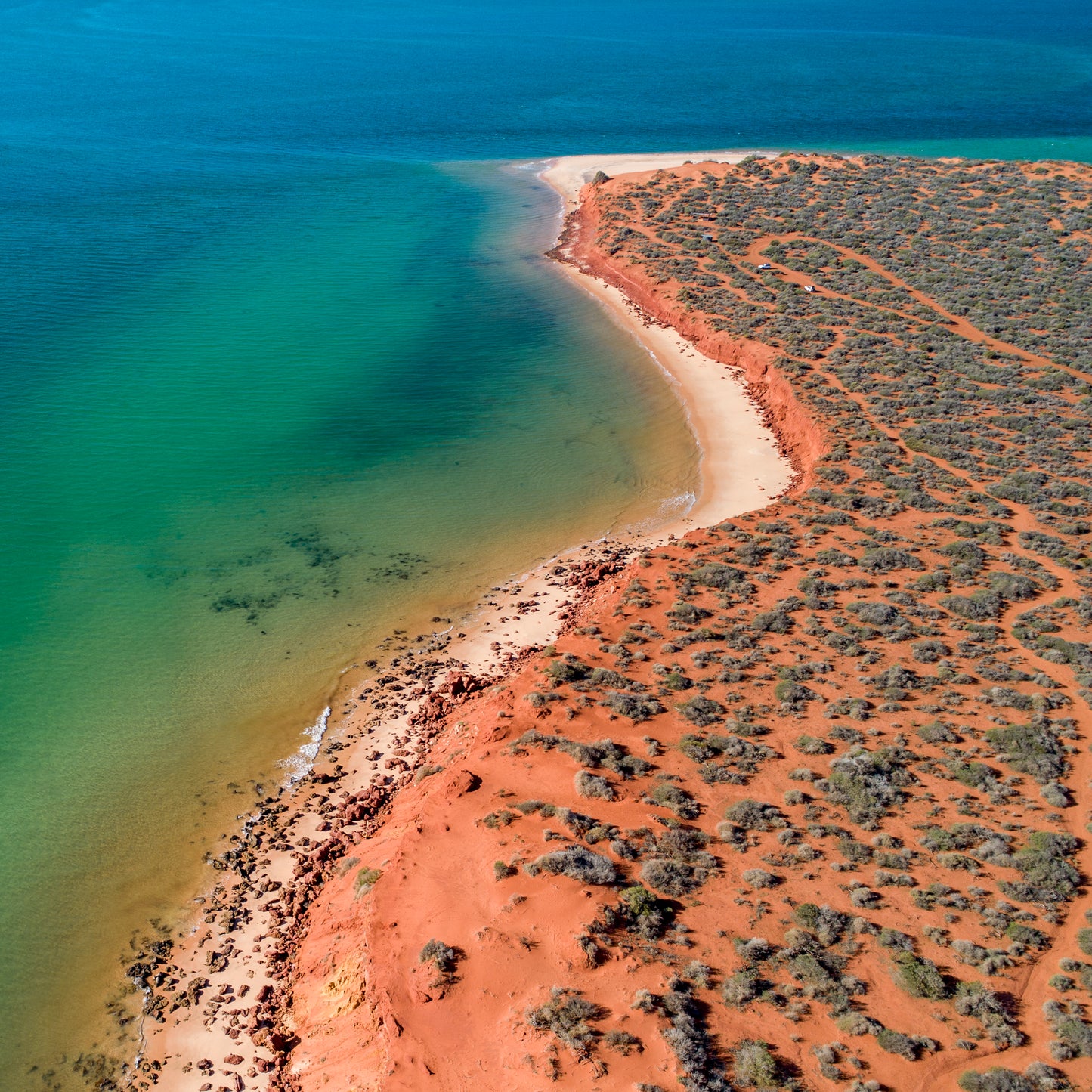 IA0202 ~ Shark Bay ~ Coral Coast