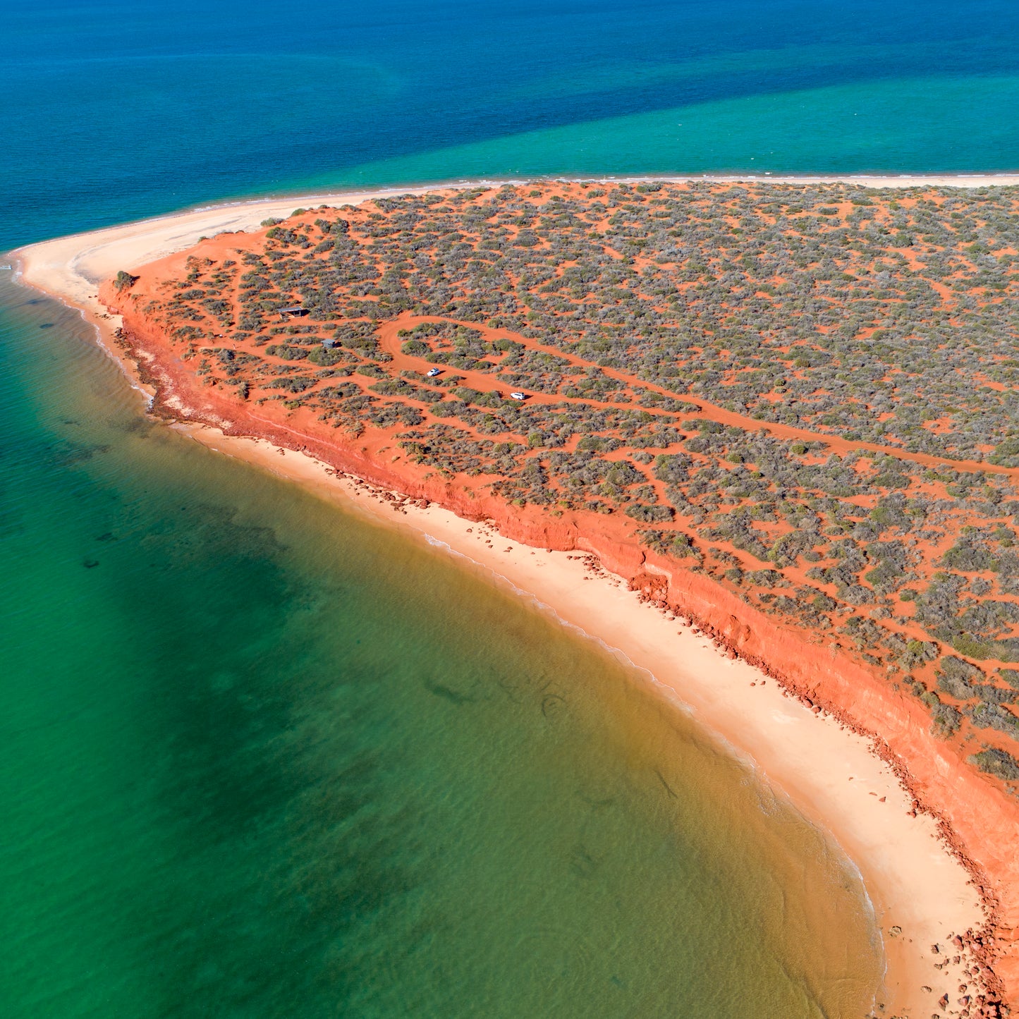 IA0204 ~ Shark Bay ~ Coral Coast