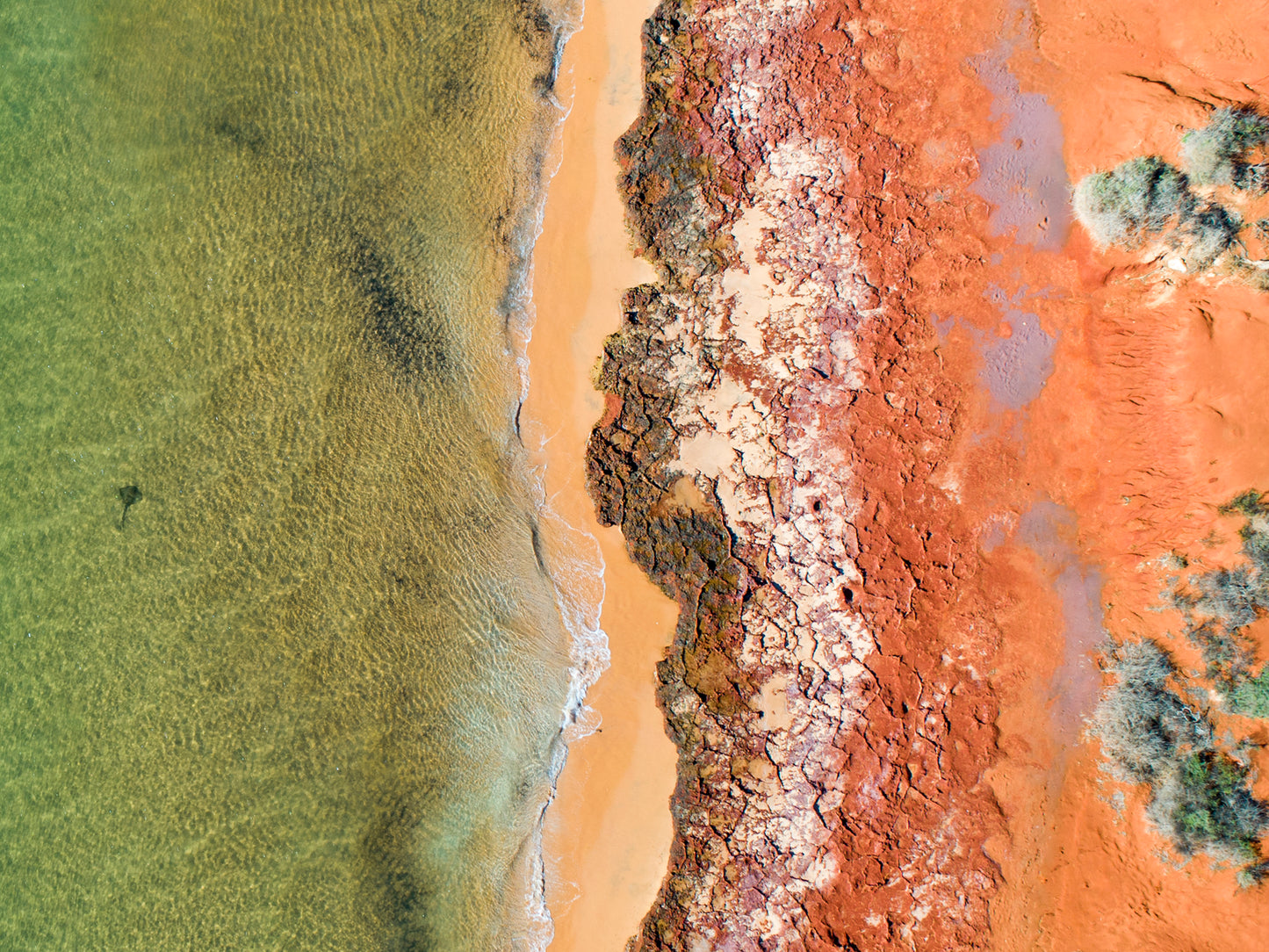 IA0206 ~ Shark Bay ~ Coral Coast