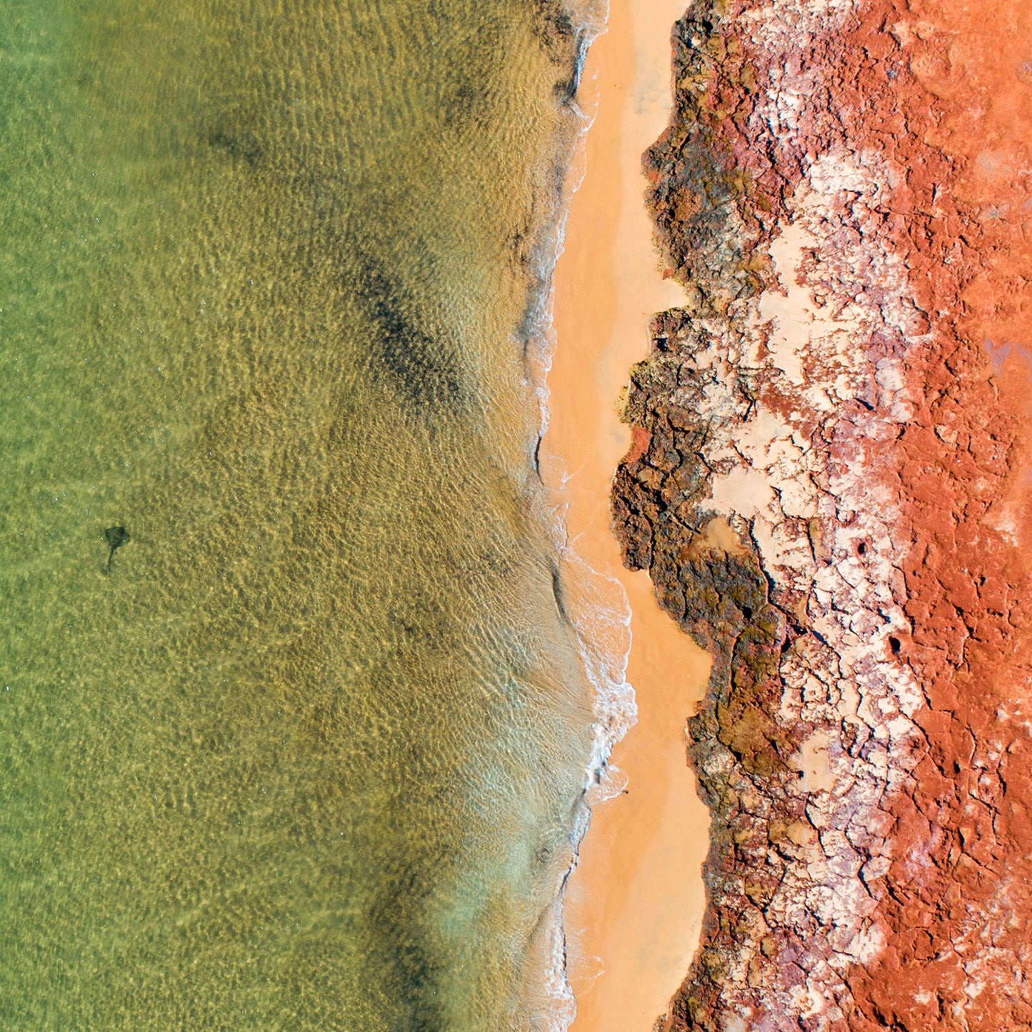 IA0206 ~ Shark Bay ~ Coral Coast