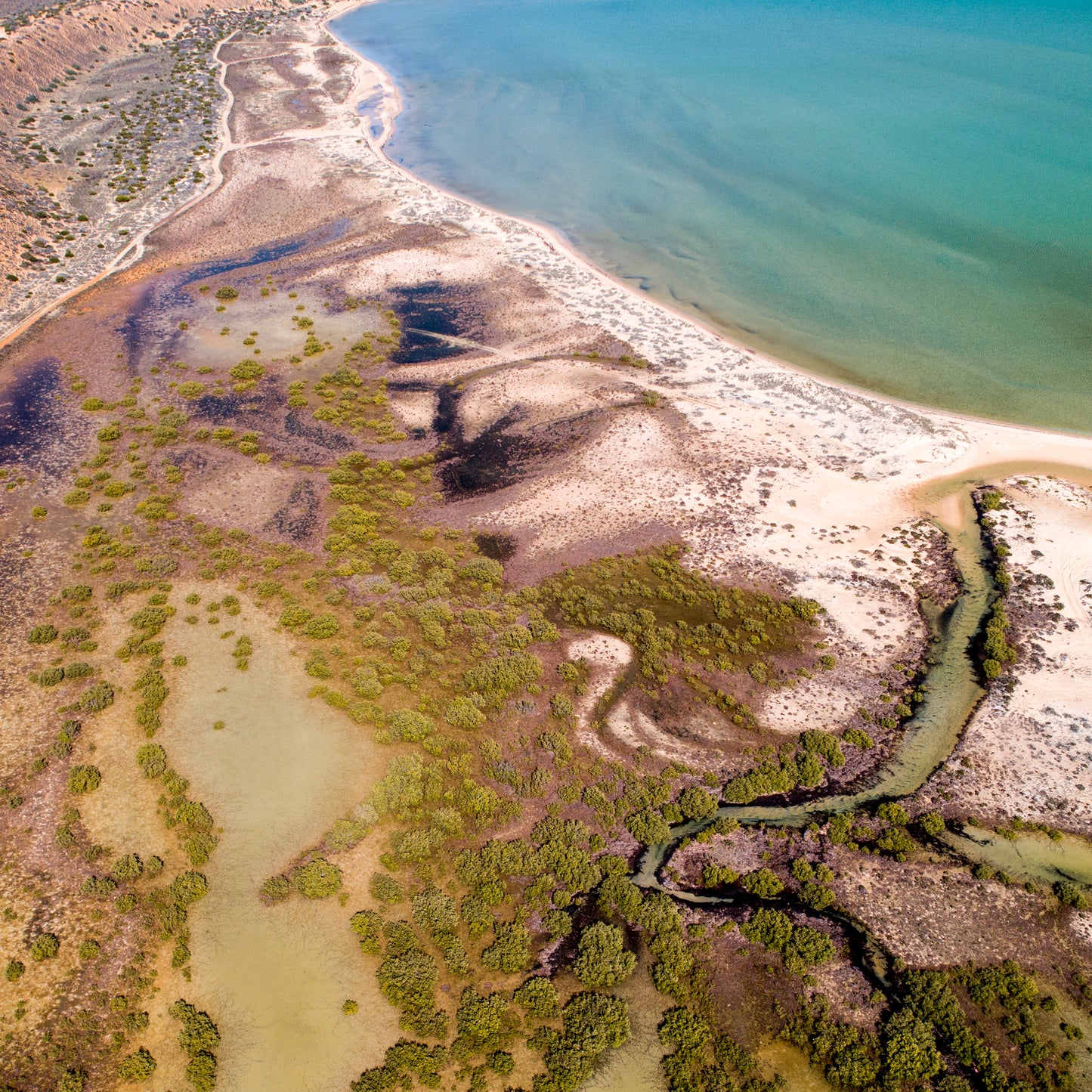 IA0210 ~ Shark Bay ~ Coral Coast