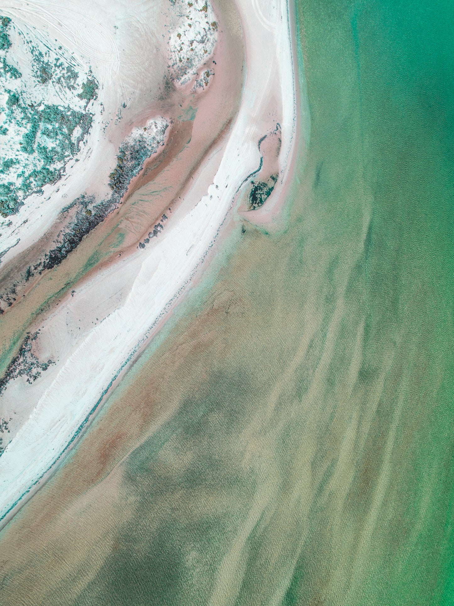 IA0212 - SHARK BAY