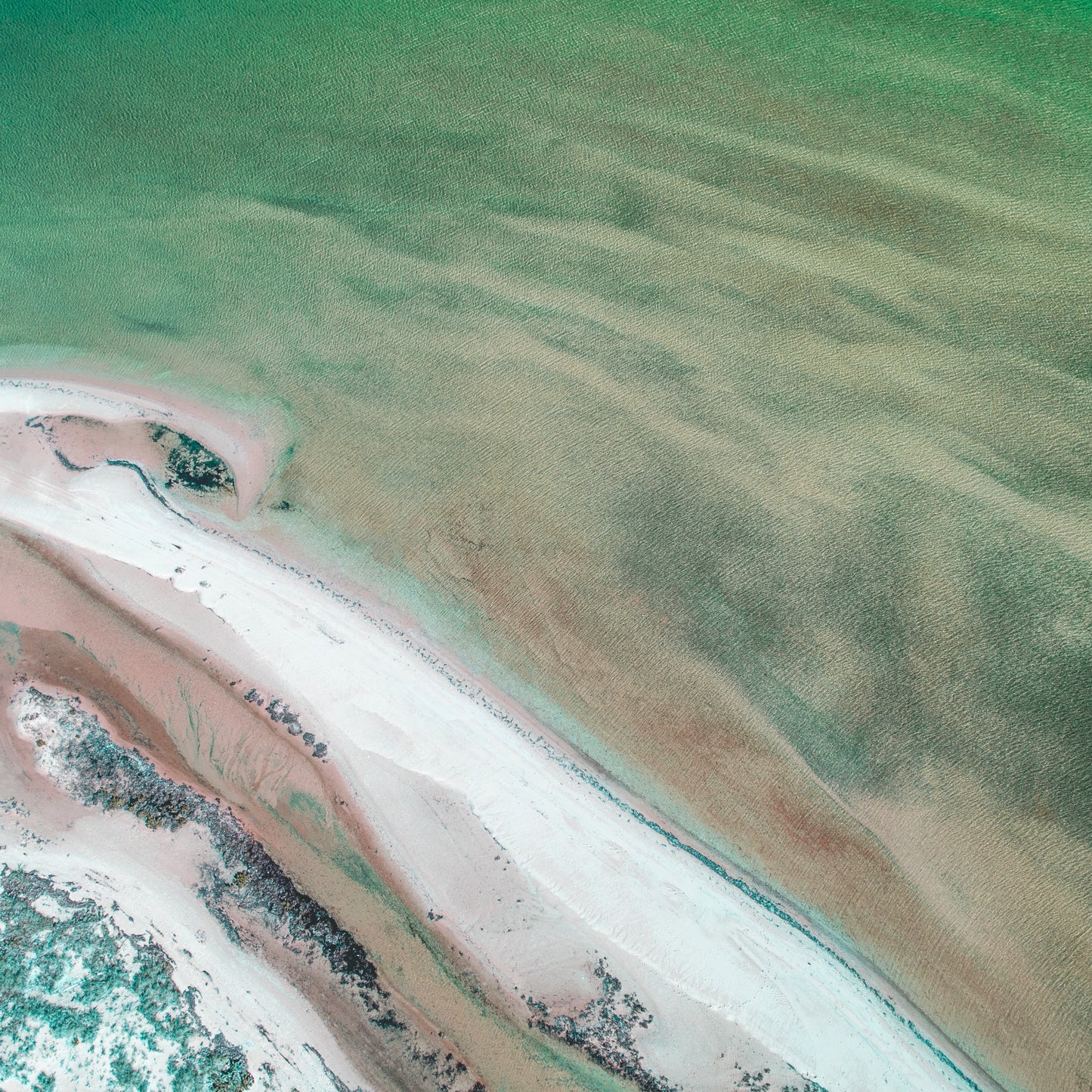 IA0212 - SHARK BAY