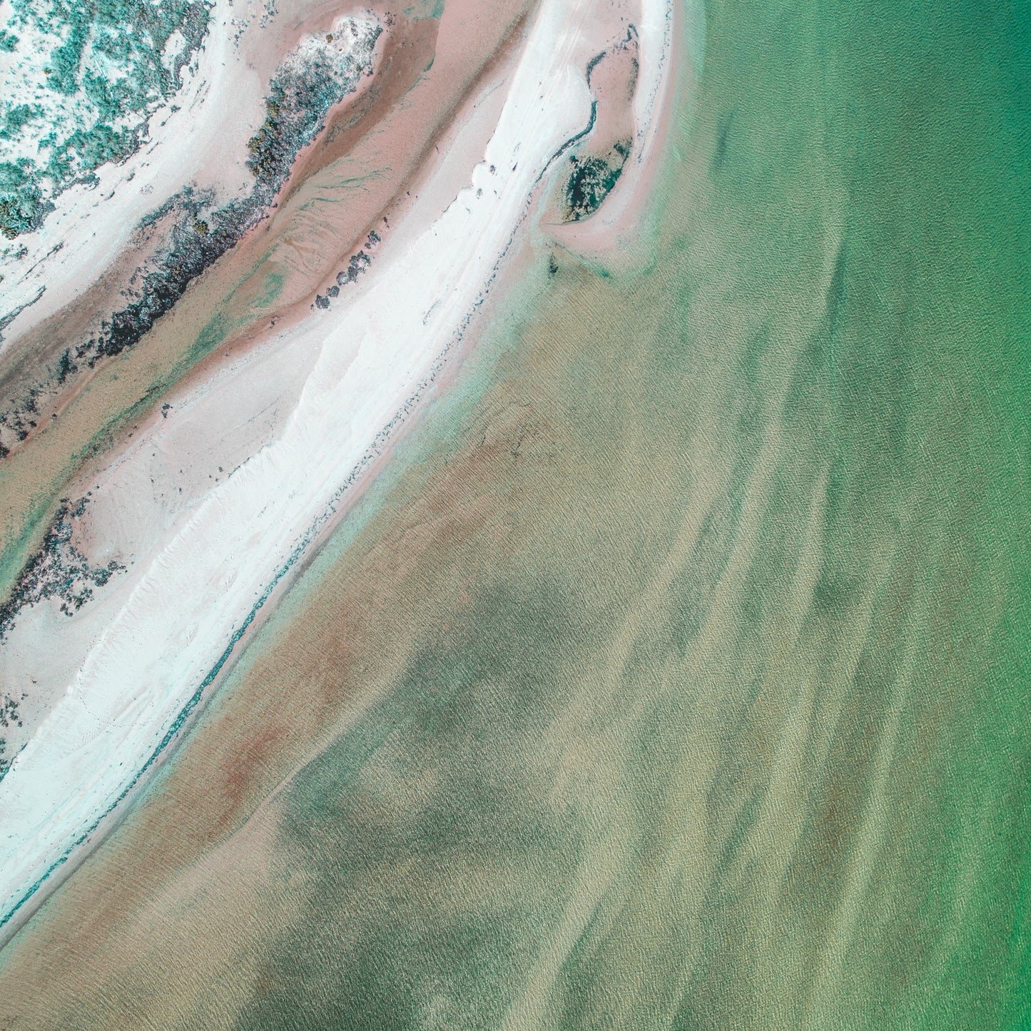 IA0212 - SHARK BAY