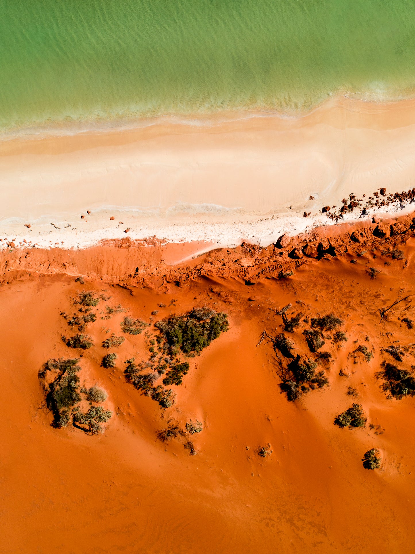 IA0225 ~ Shark Bay ~ Coral Coast