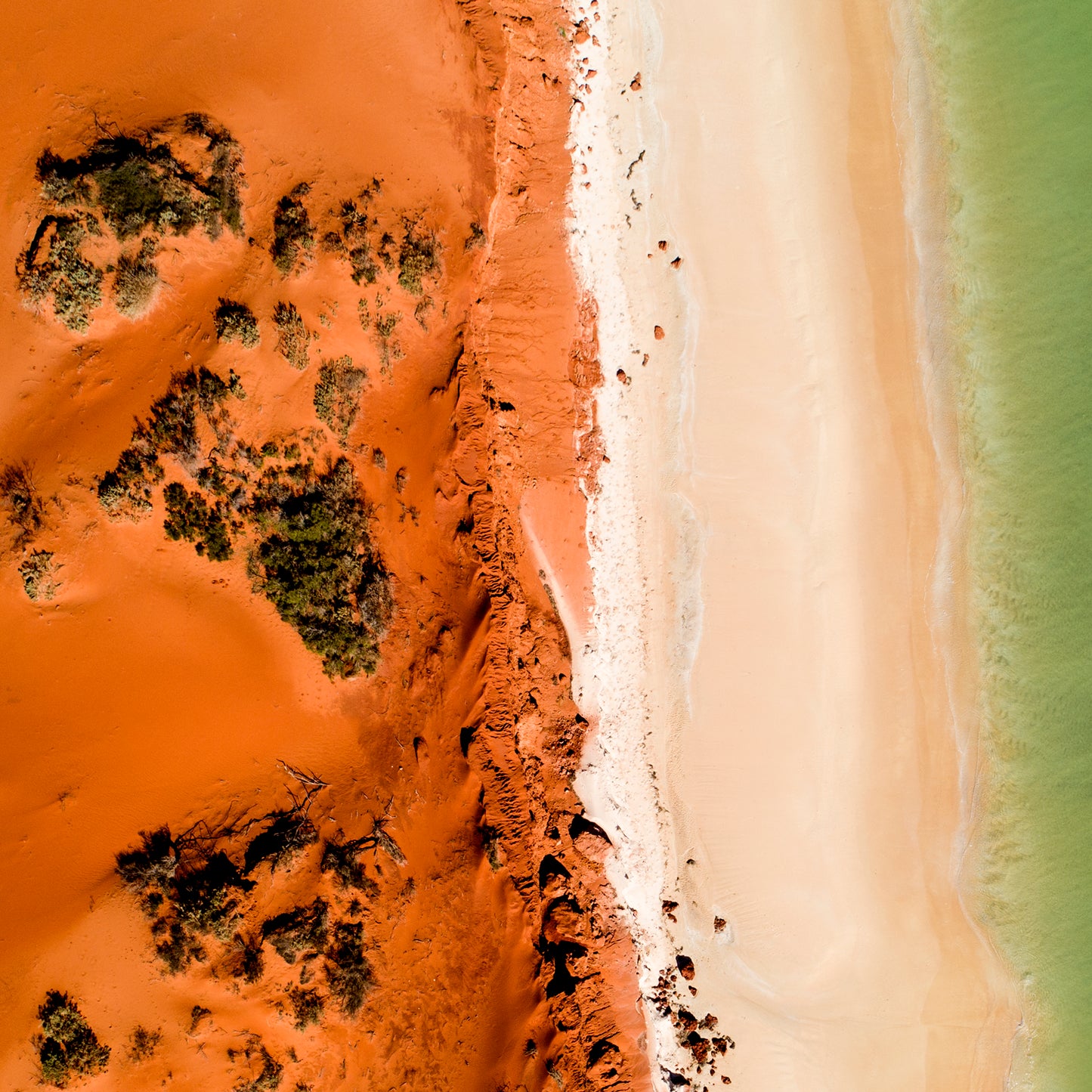 IA0225 ~ Shark Bay ~ Coral Coast