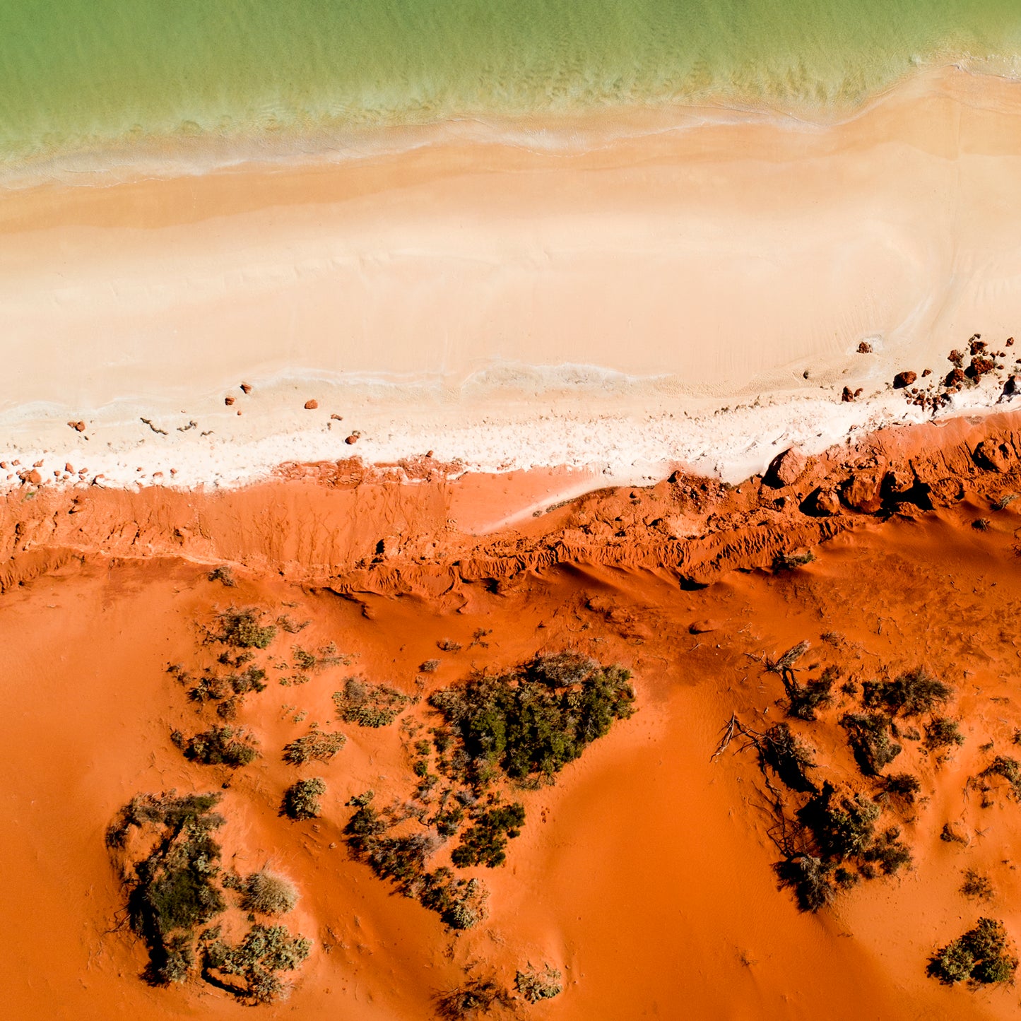 IA0225 ~ Shark Bay ~ Coral Coast