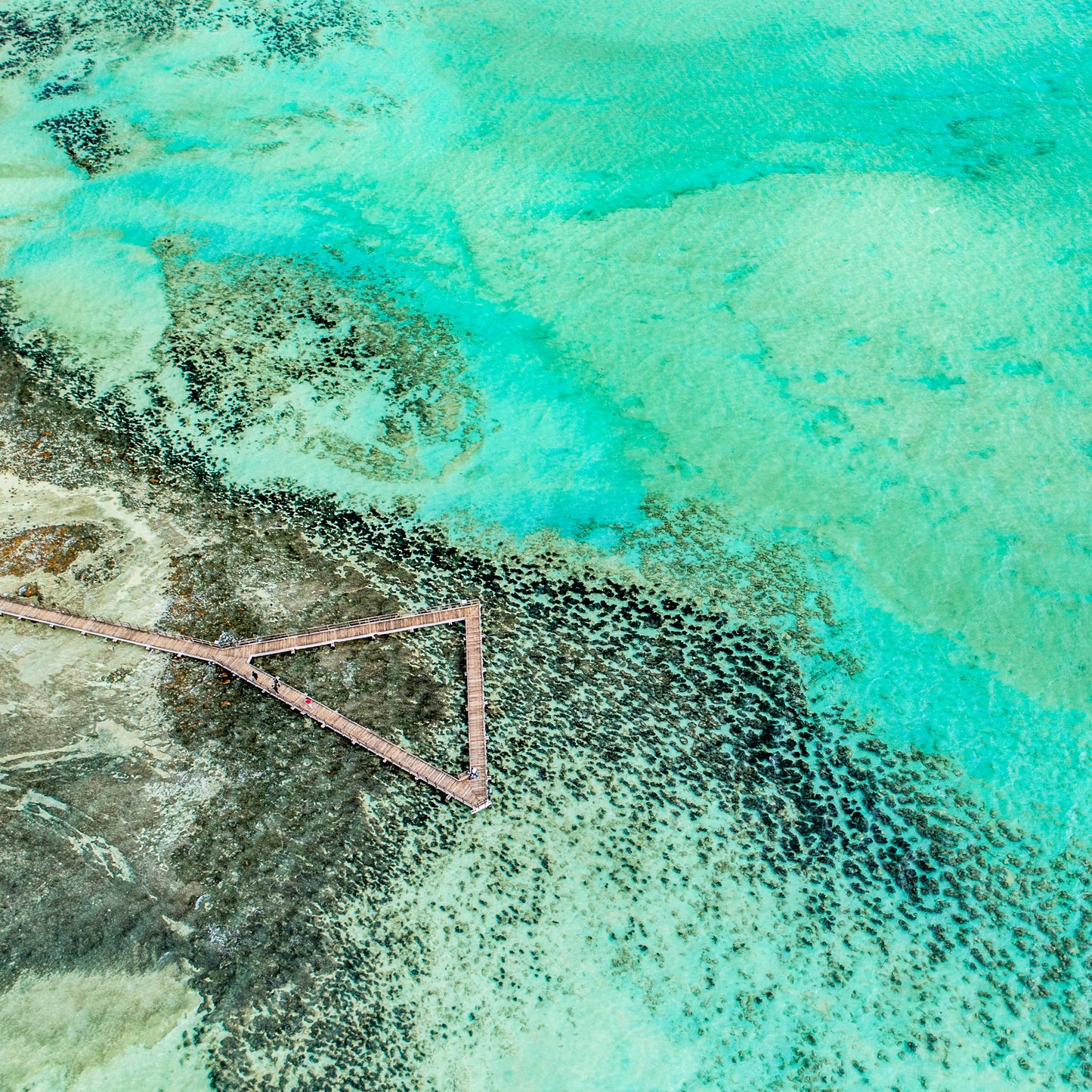 IA0228 ~ Shark Bay ~ Coral Coast