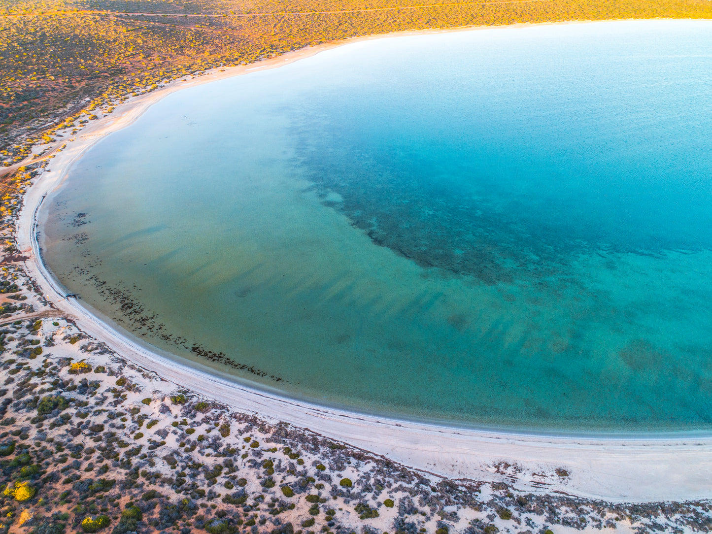 IA0230 ~ Shark Bay ~ Coral Coast