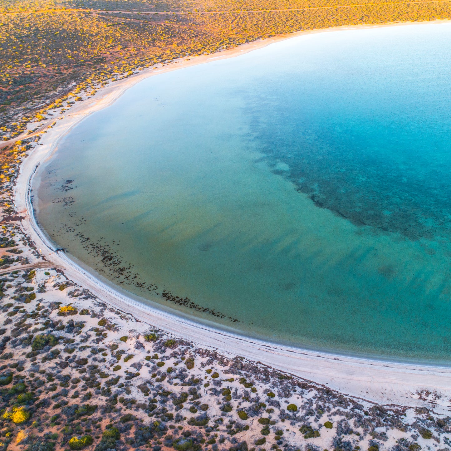 IA0230 ~ Shark Bay ~ Coral Coast