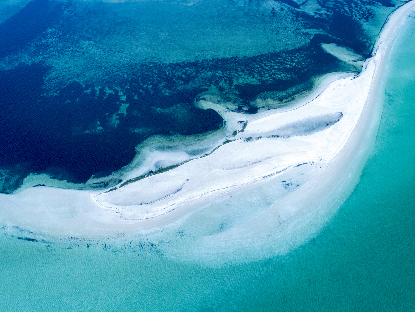 IA0232 - SHARK BAY