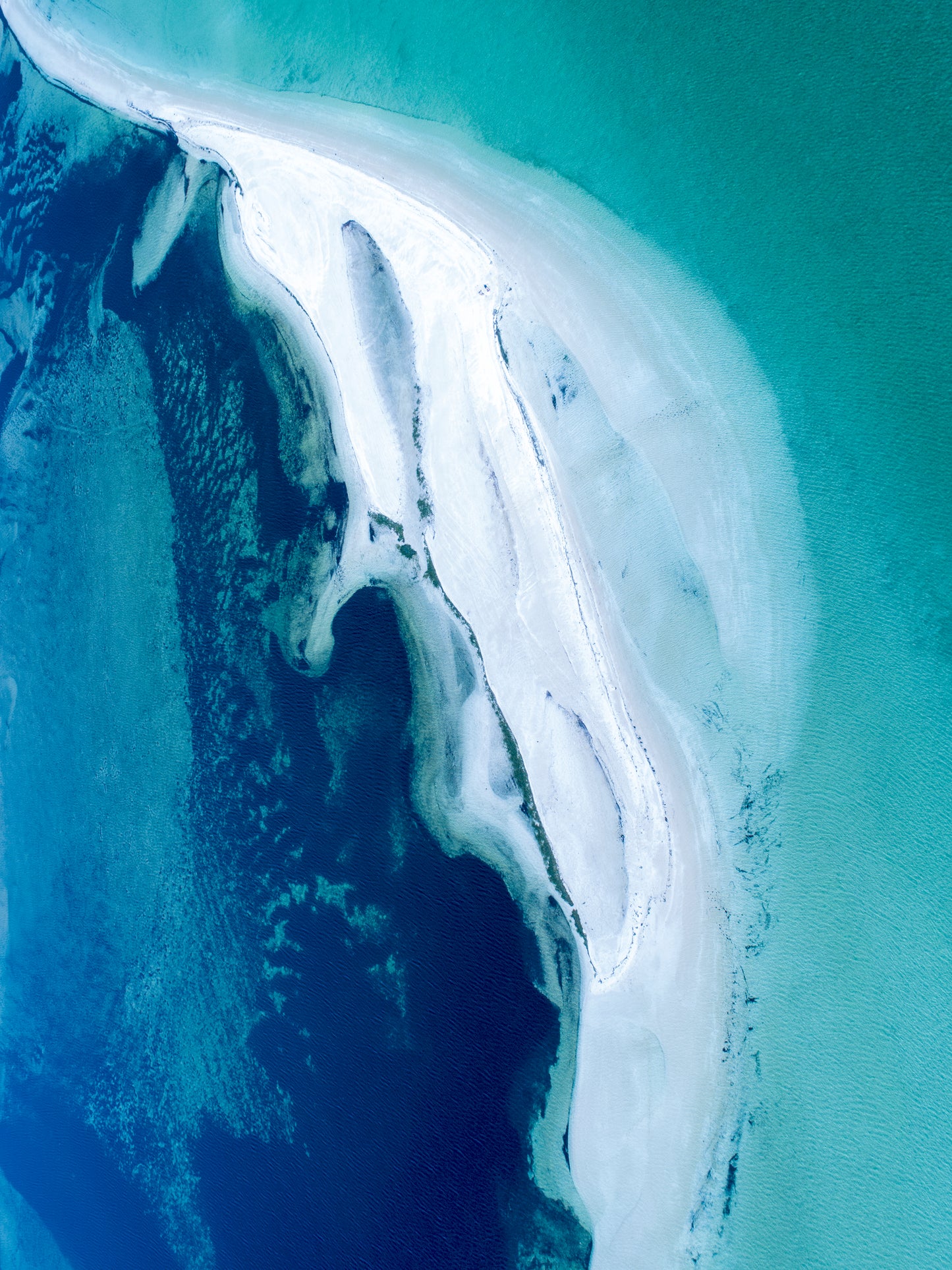 IA0232 - SHARK BAY