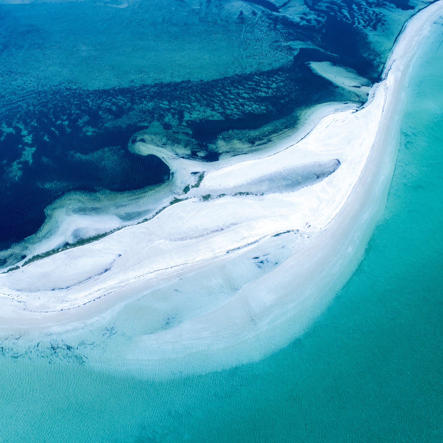IA0232 - SHARK BAY