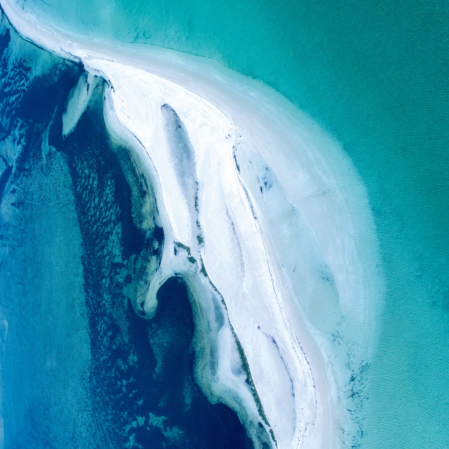 IA0232 - SHARK BAY