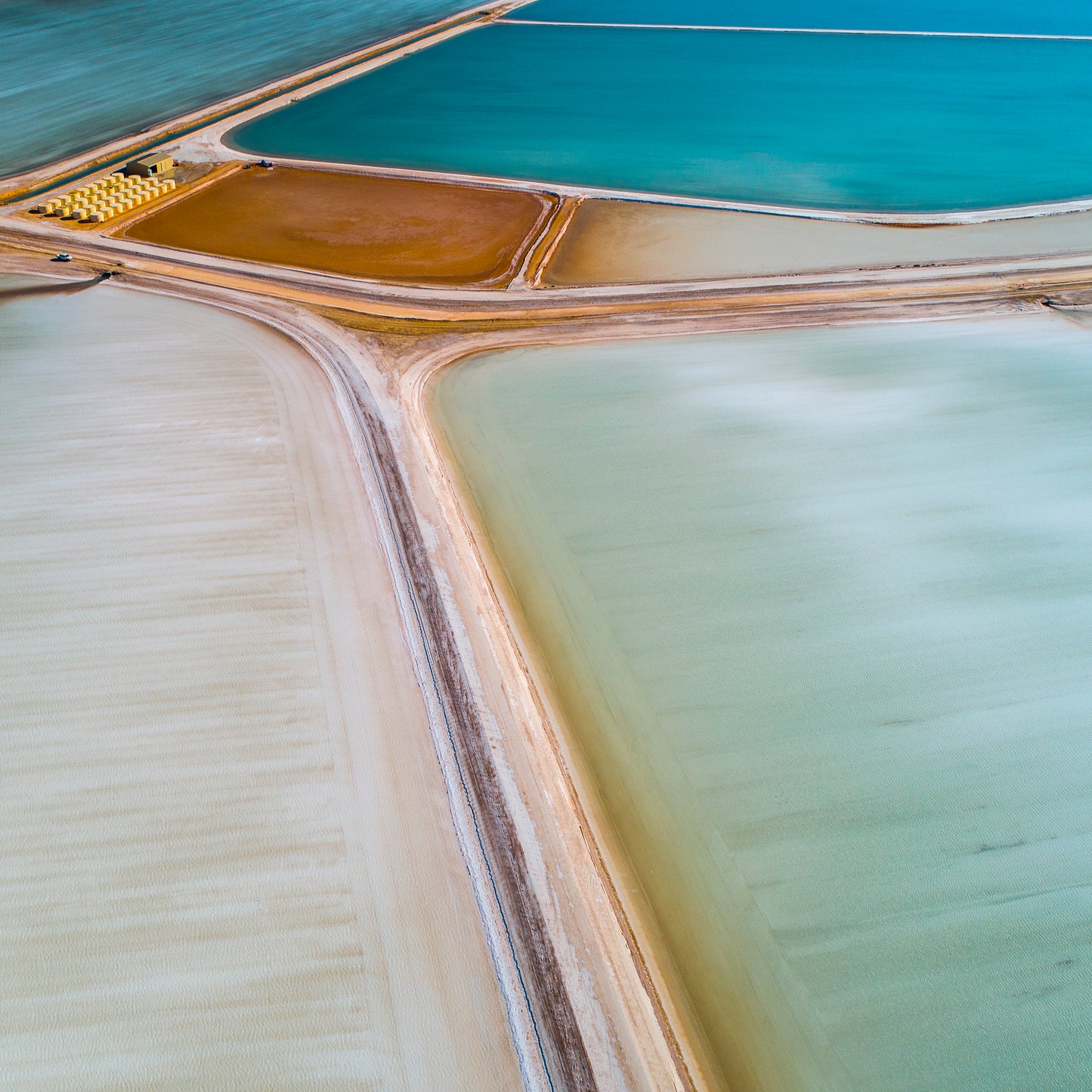 IA0239 ~ Useless Loop ~ Coral Coast