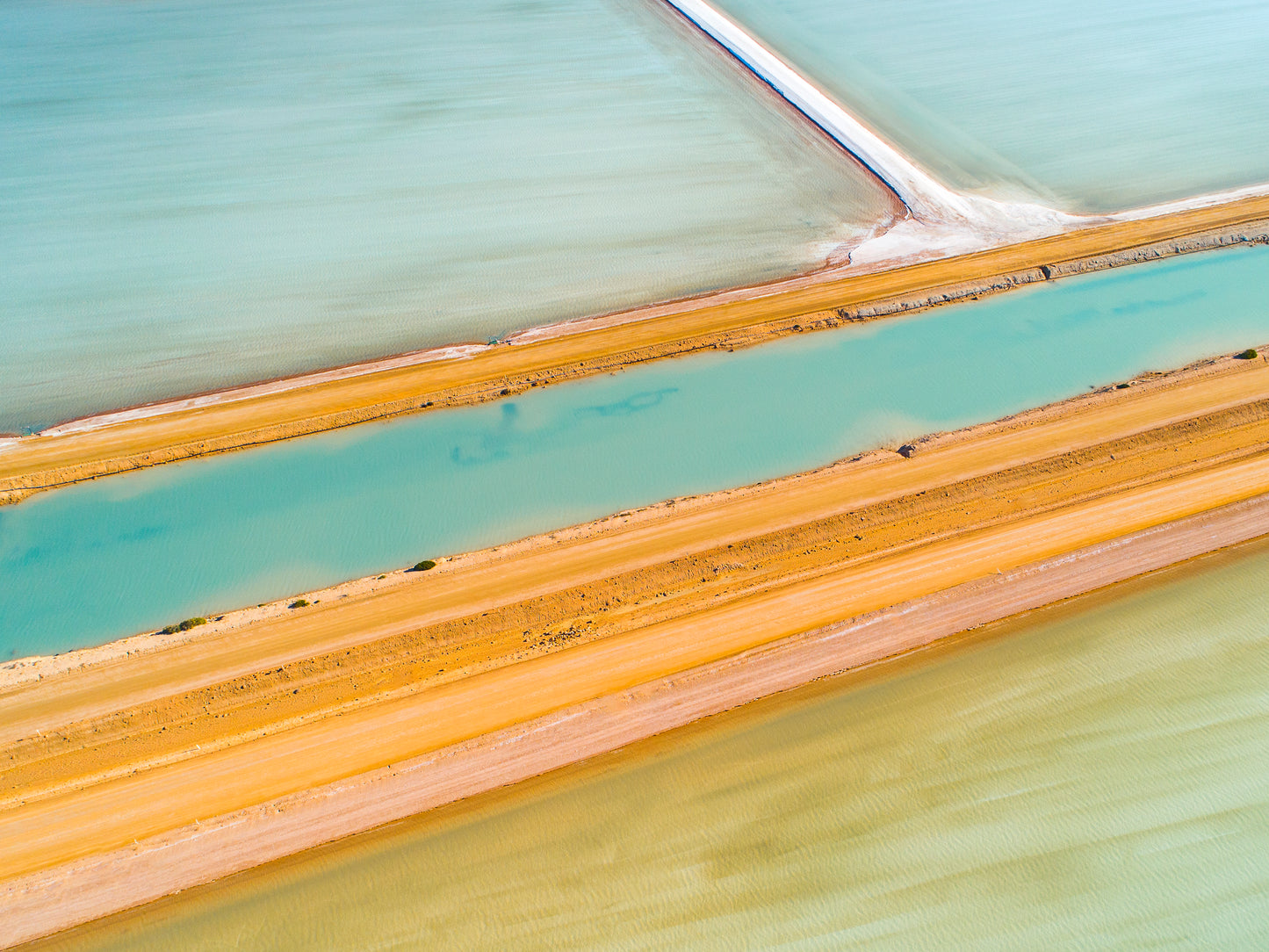 IA0265 ~ Useless Loop ~ Coral Coast