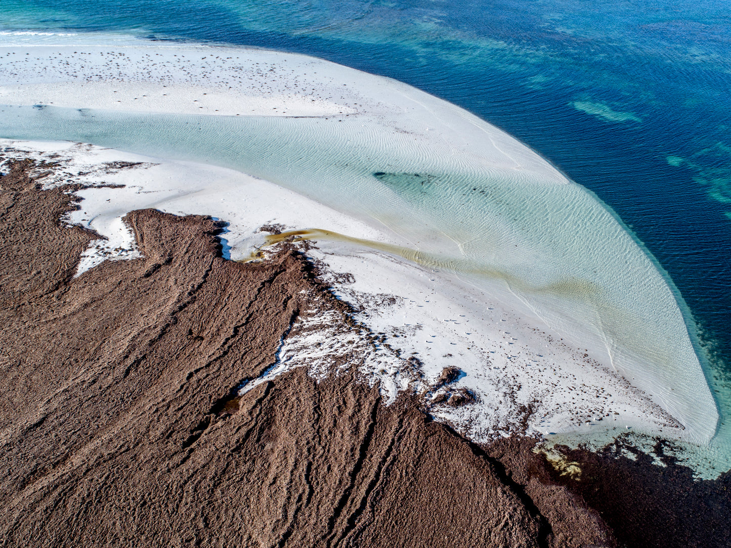 IA0300 ~ Lancelin ~ Perth Region