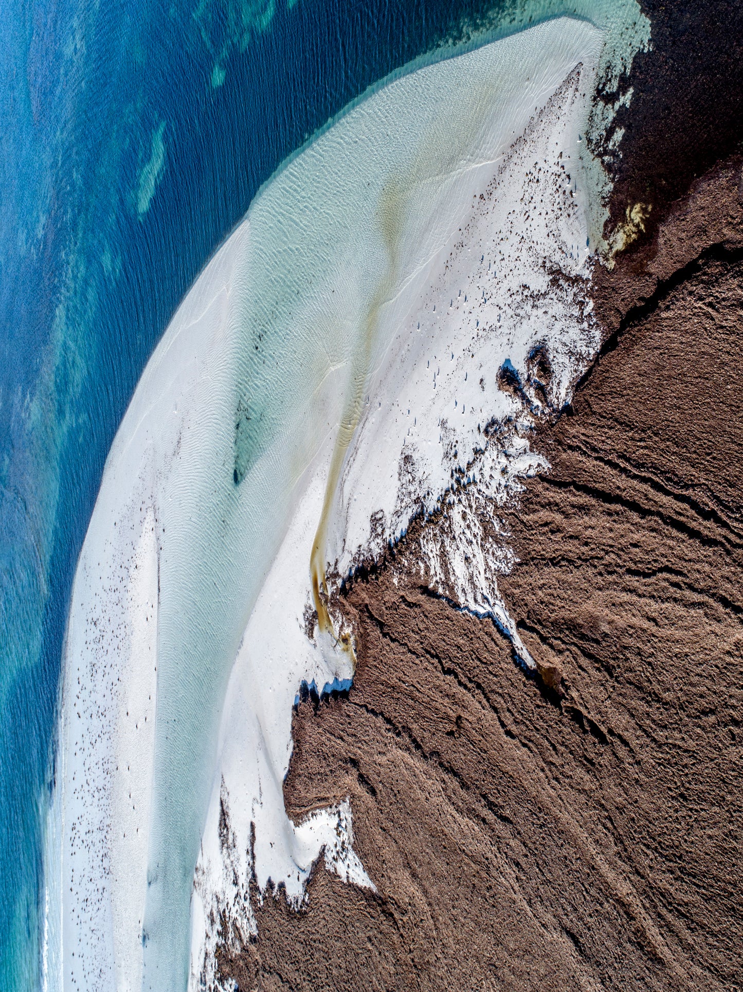 IA0300 ~ Lancelin ~ Perth Region