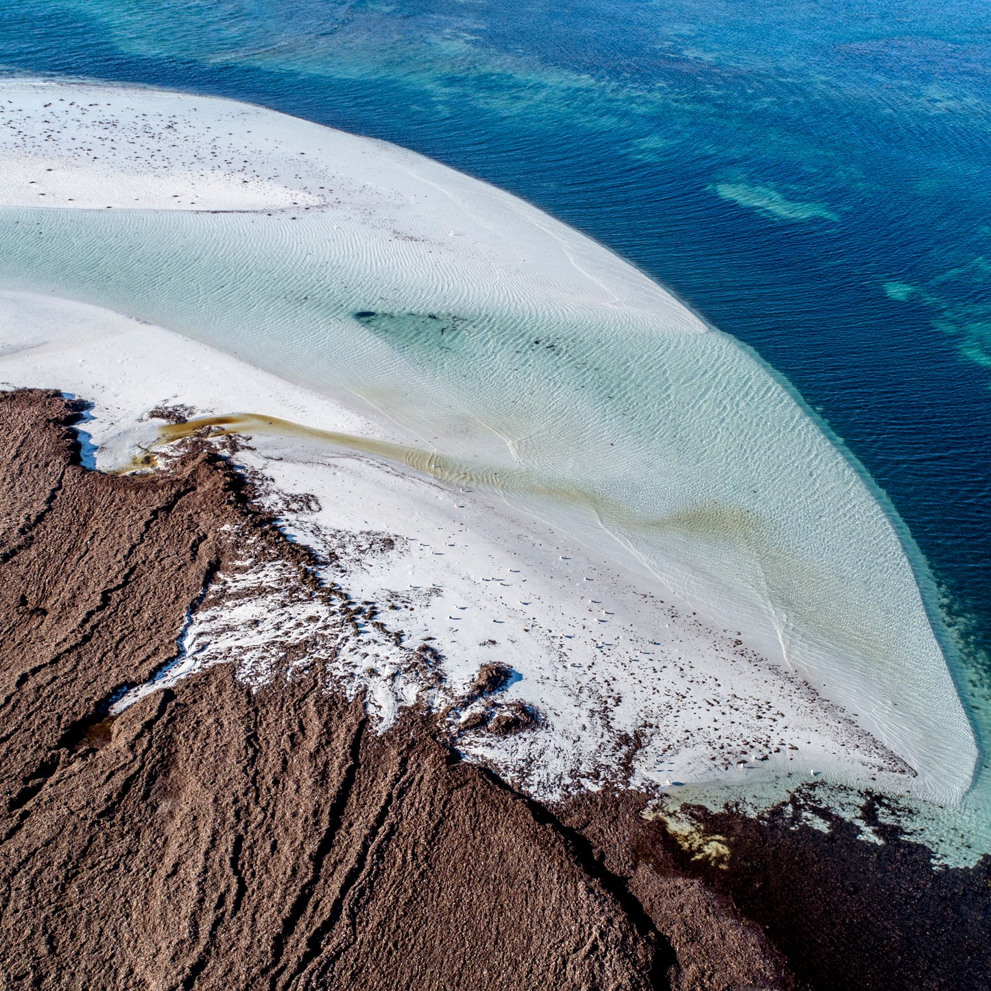 IA0300 ~ Lancelin ~ Perth Region