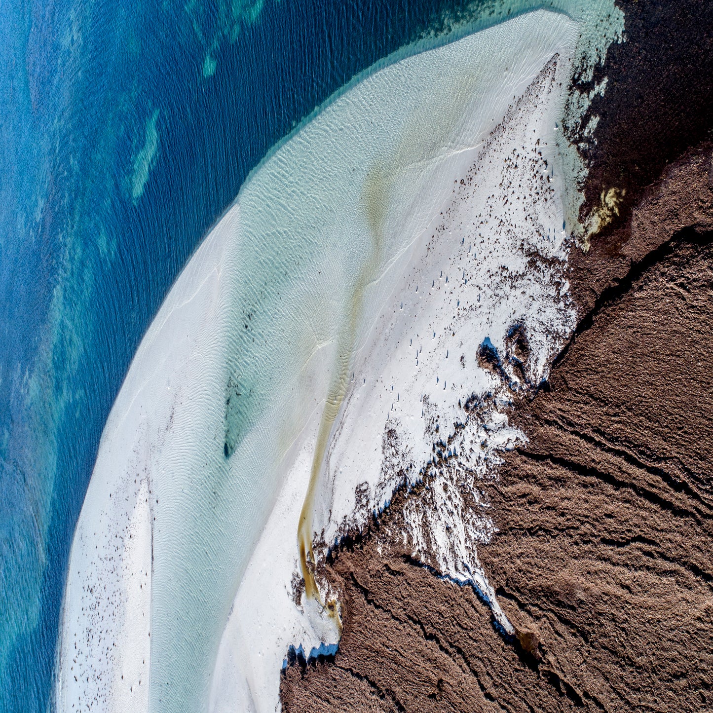 IA0300 ~ Lancelin ~ Perth Region