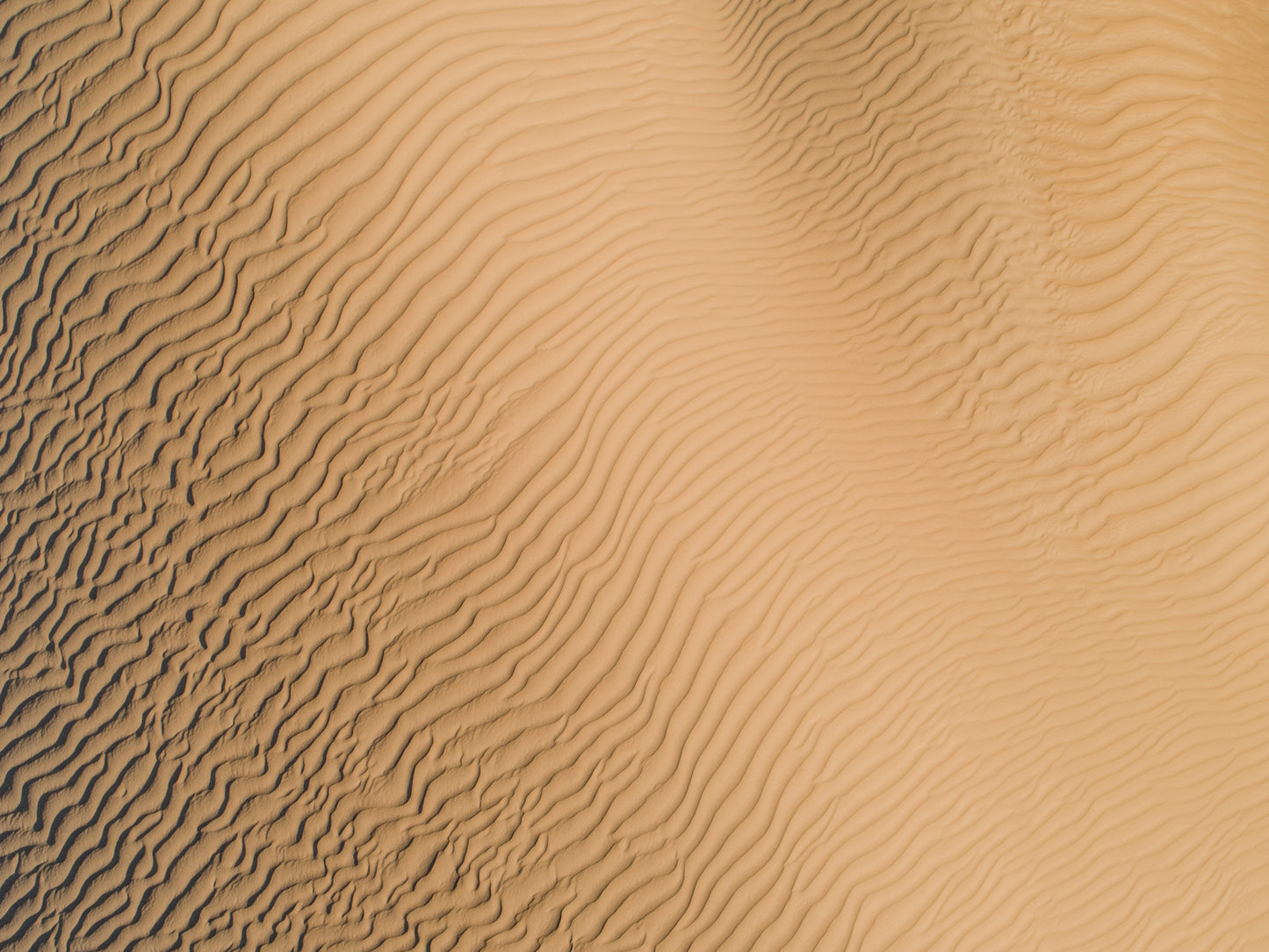 IA0308 ~ Lancelin ~ Perth