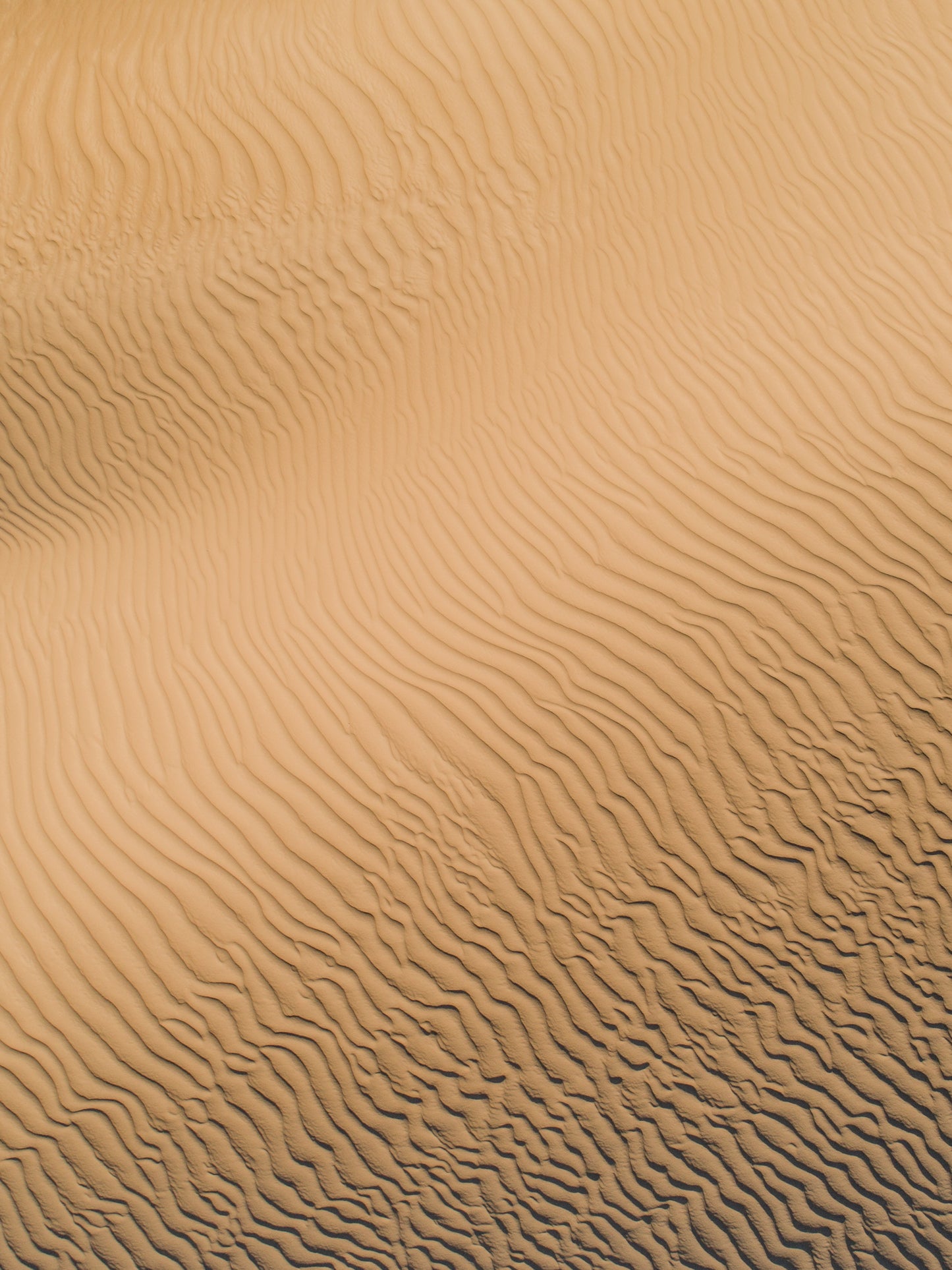 IA0308 ~ Lancelin ~ Perth