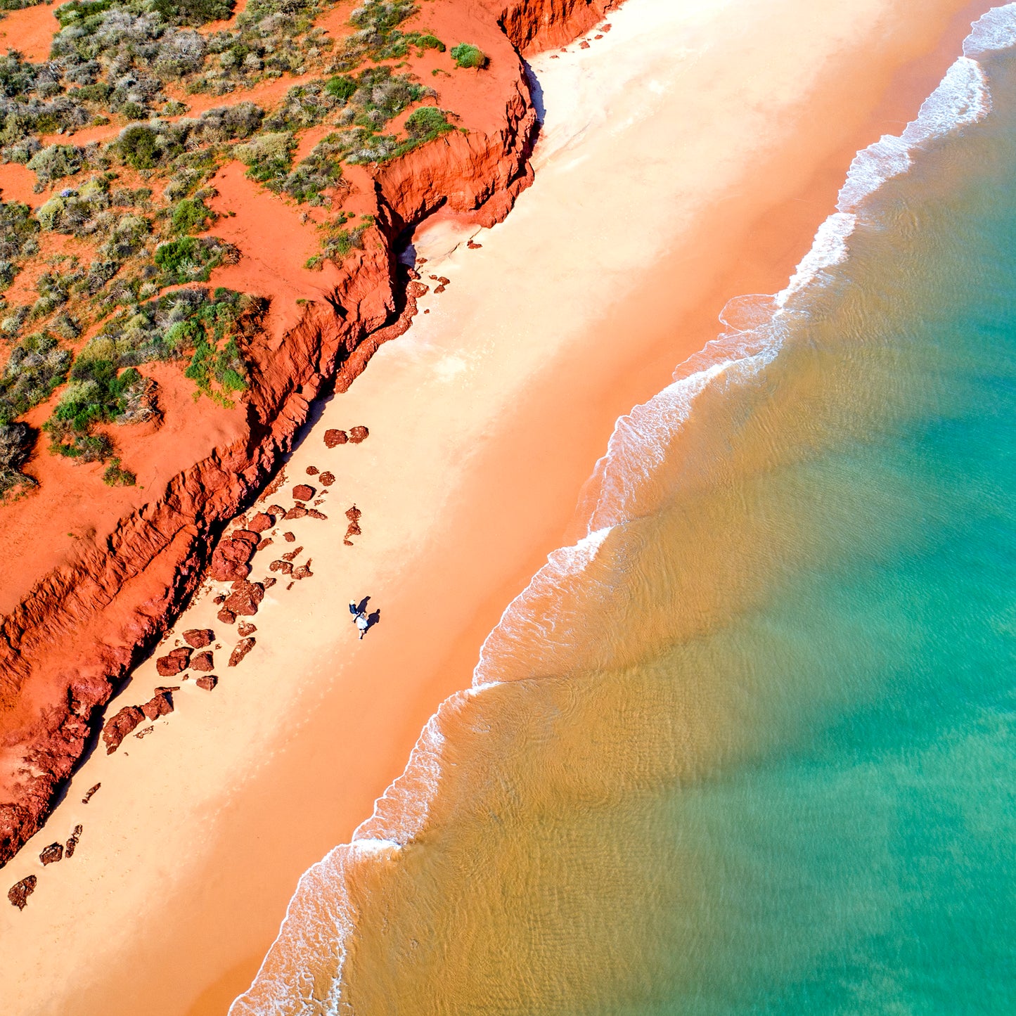 IA0513 ~ Shark Bay ~ Coral Coast