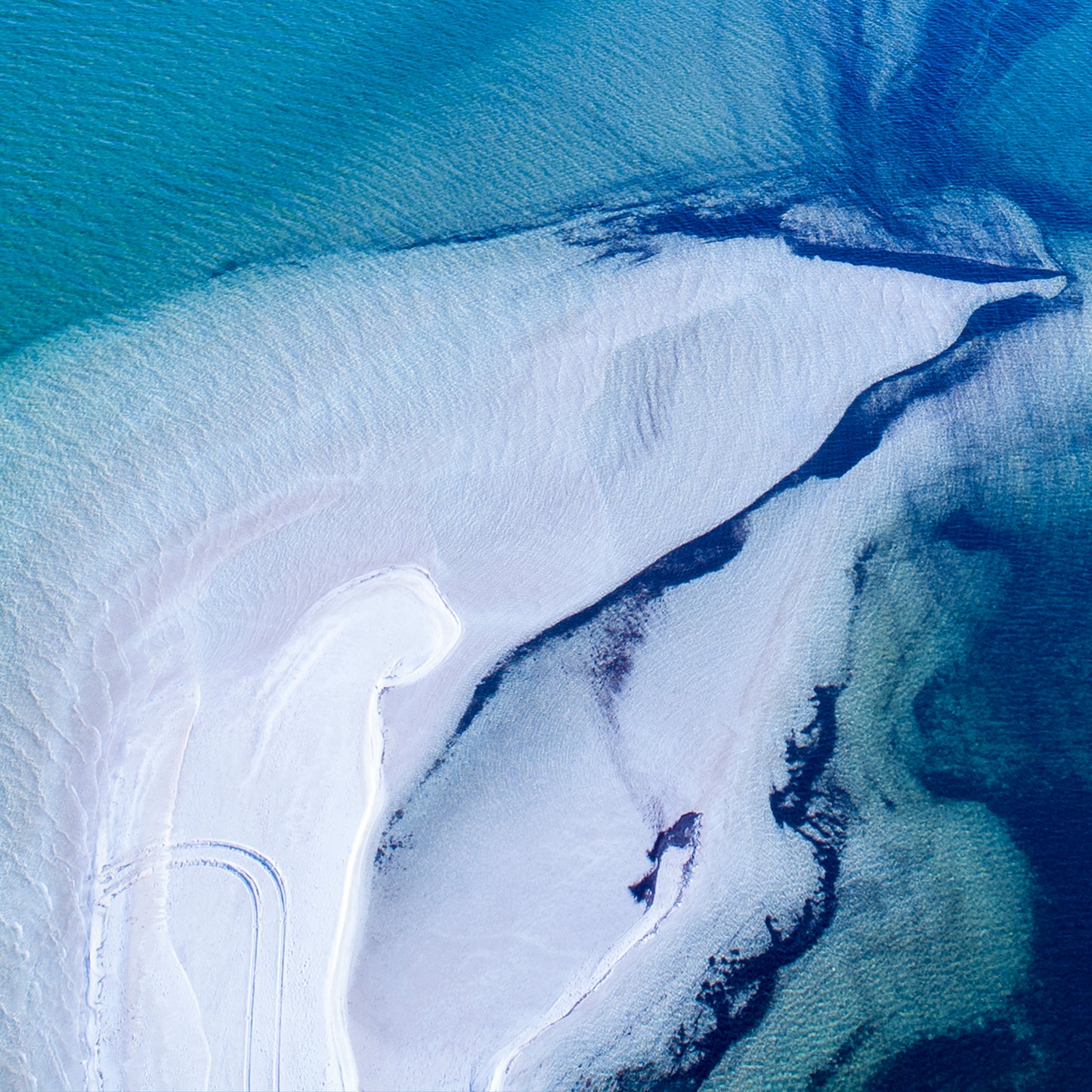 IA0514 ~ Shark Bay ~ Coral Coast