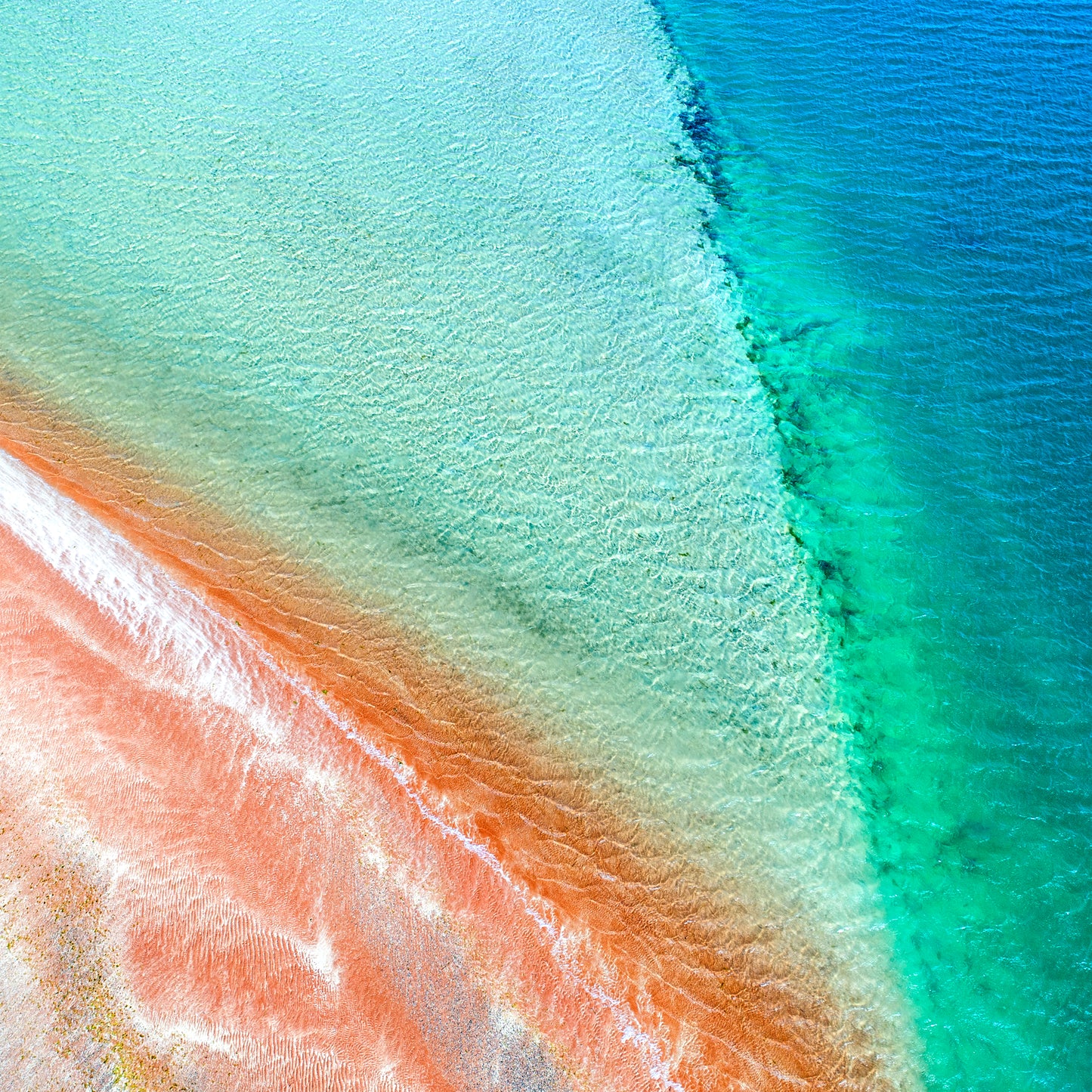 IA0516 ~ Shark Bay ~ Coral Coast