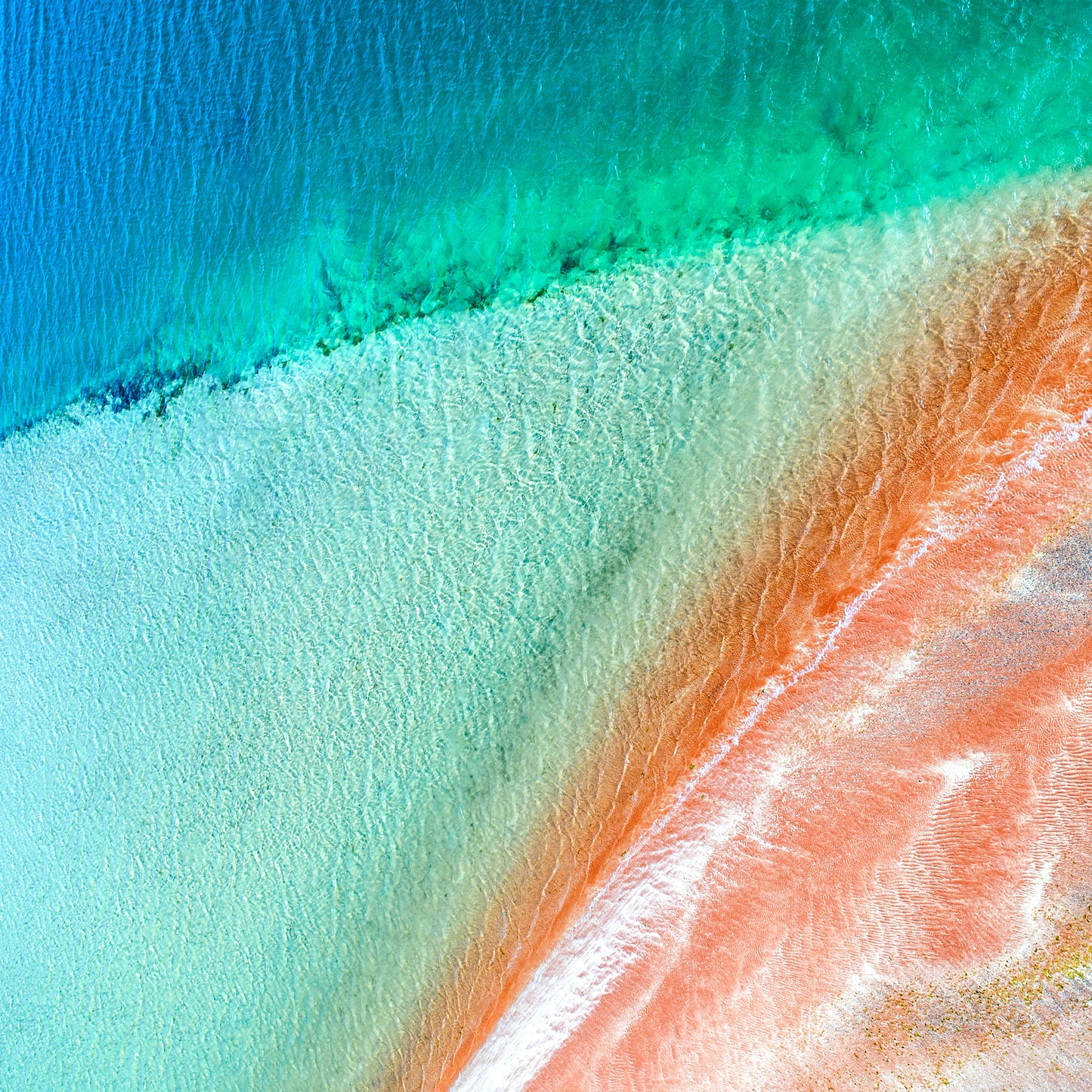 IA0516 ~ Shark Bay ~ Coral Coast