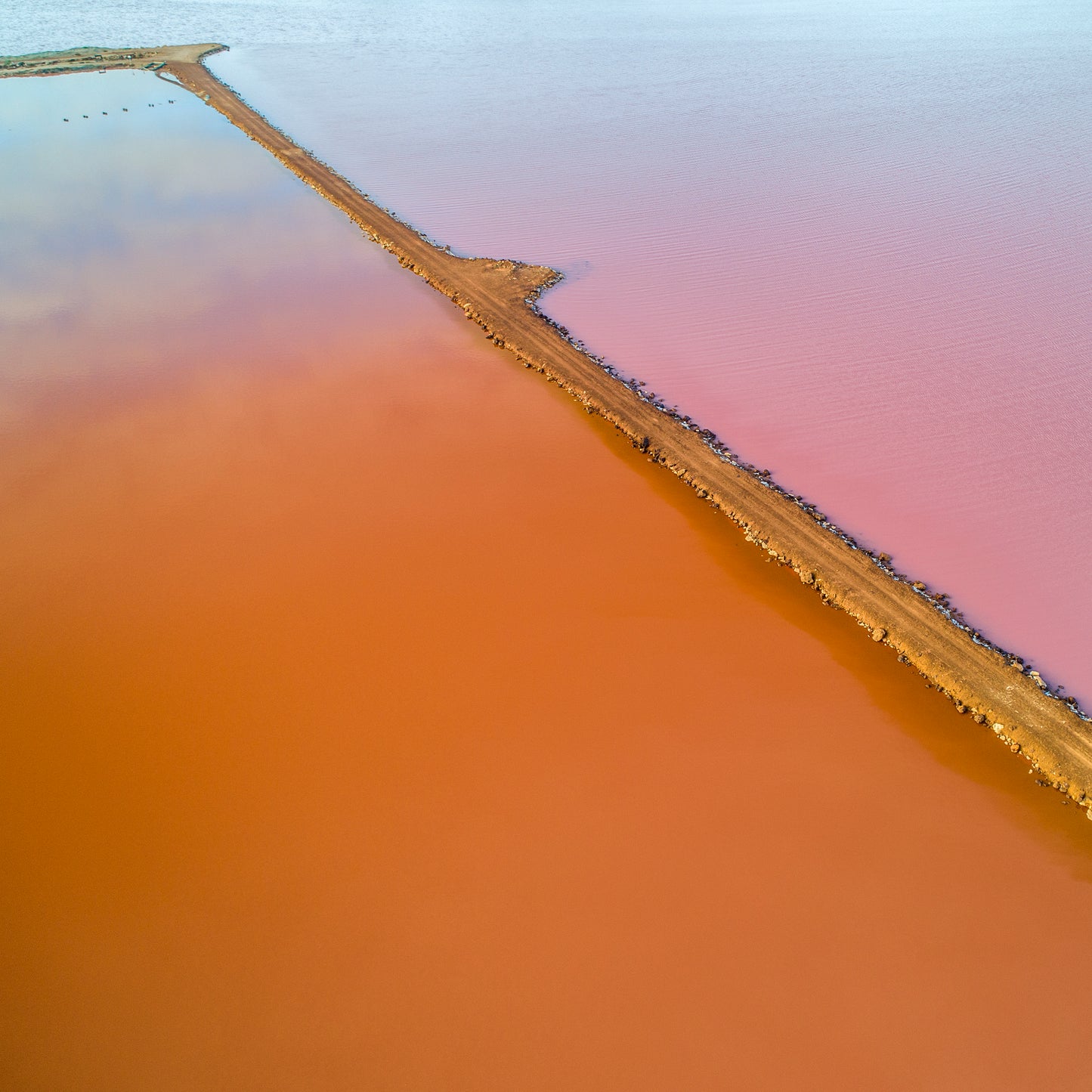 IA0520 ~ Pink Lake ~ Hutt Lagoon