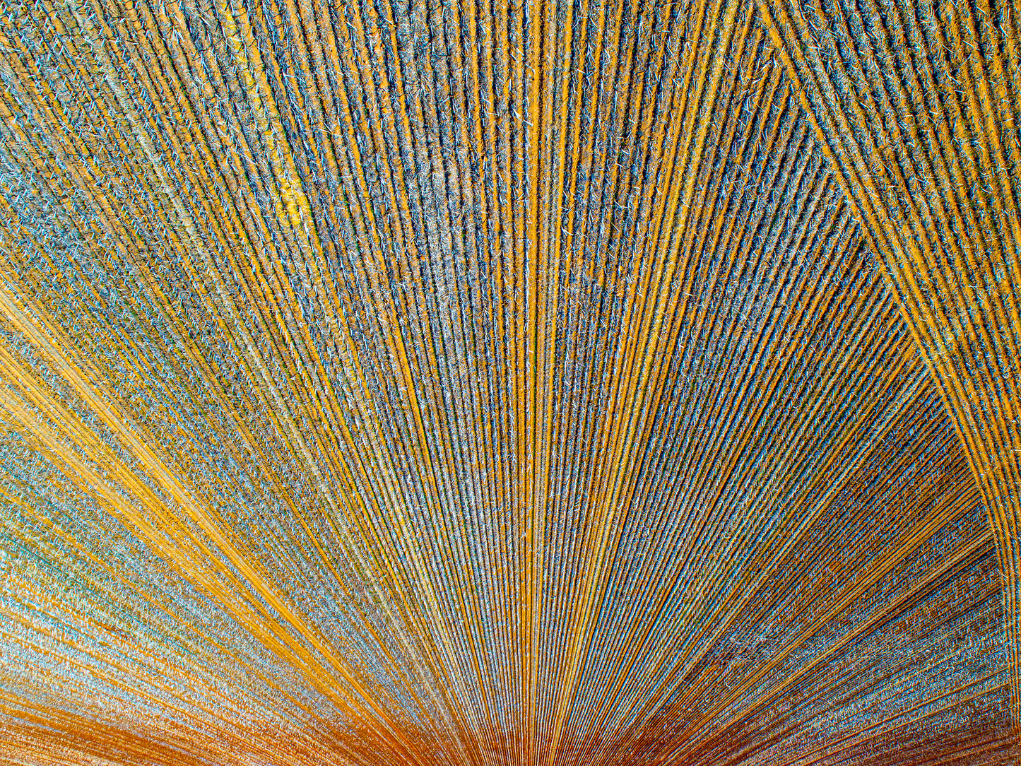 IA0527 ~ Dalwallinu ~ Wheatbelt