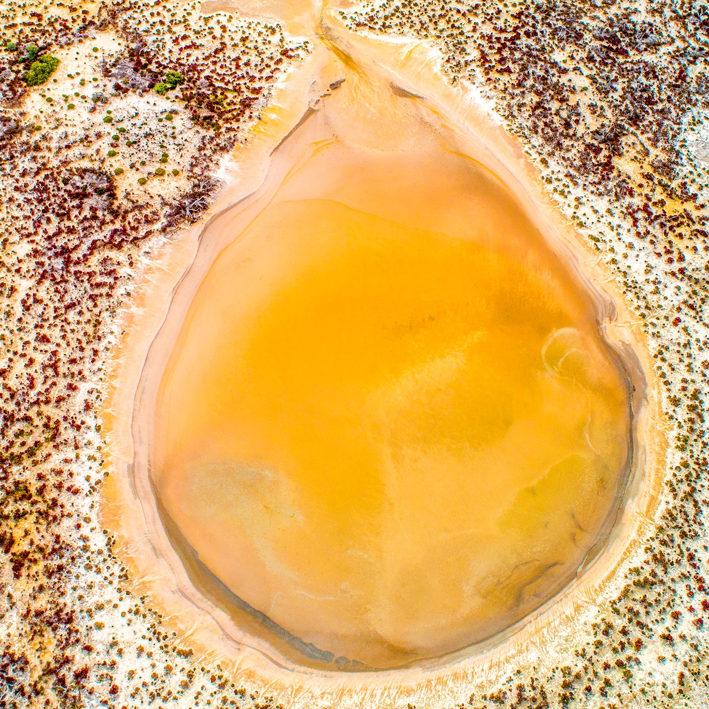 IA0537 ~ Pithara ~ Wheatbelt