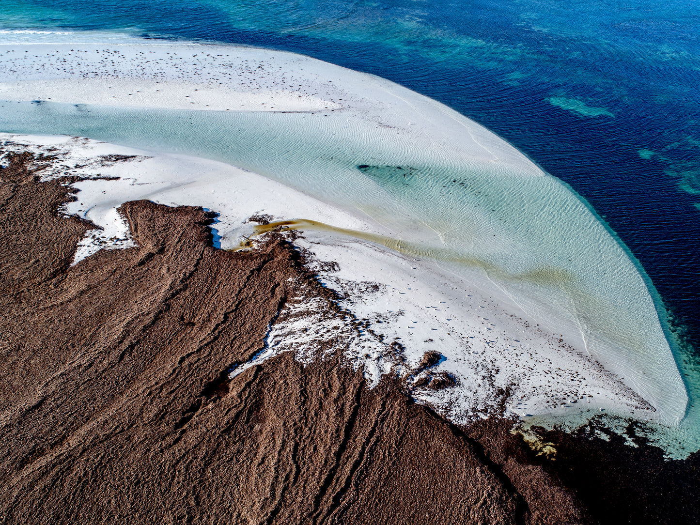 IA0617 ~ Lancelin ~ Perth Region