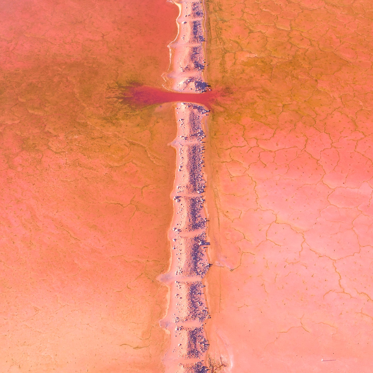IA0170 ~ Pink Lake ~ Hutt Lagoon
