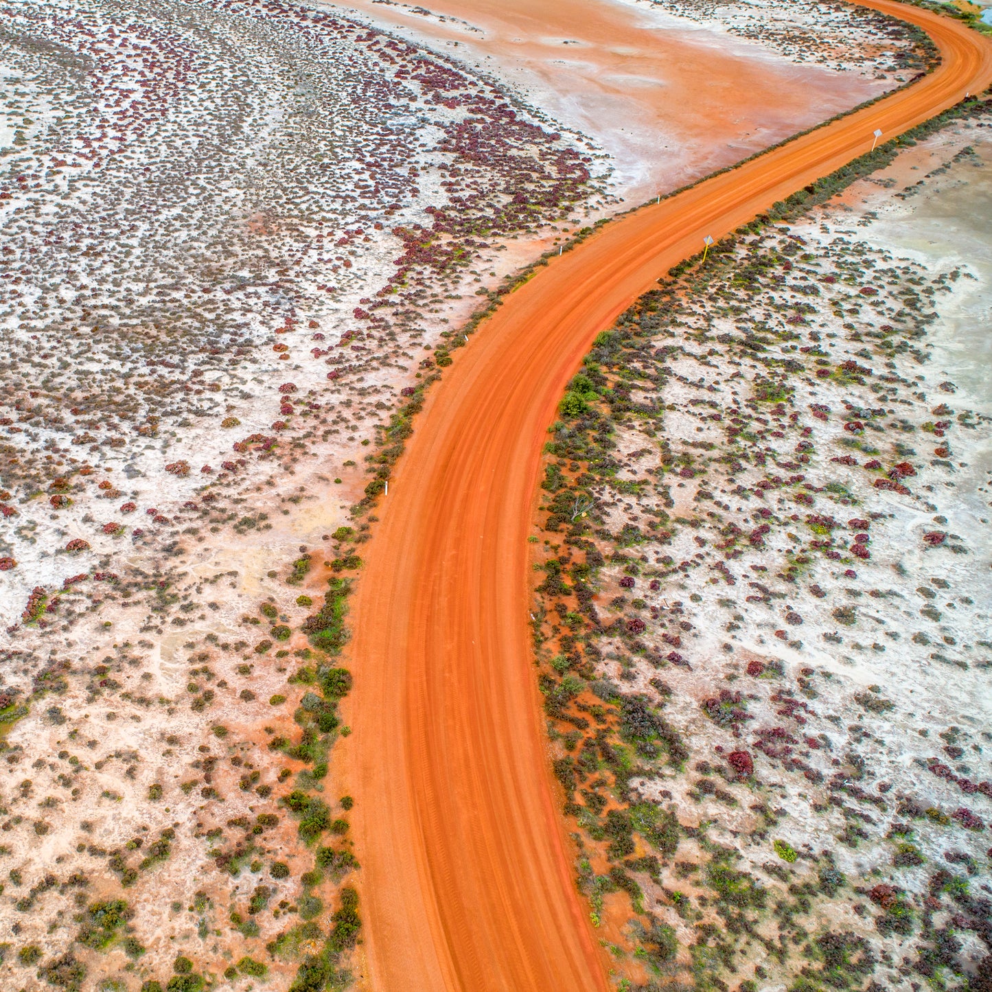 IA0335 ~ Pithara ~ Wheatbelt
