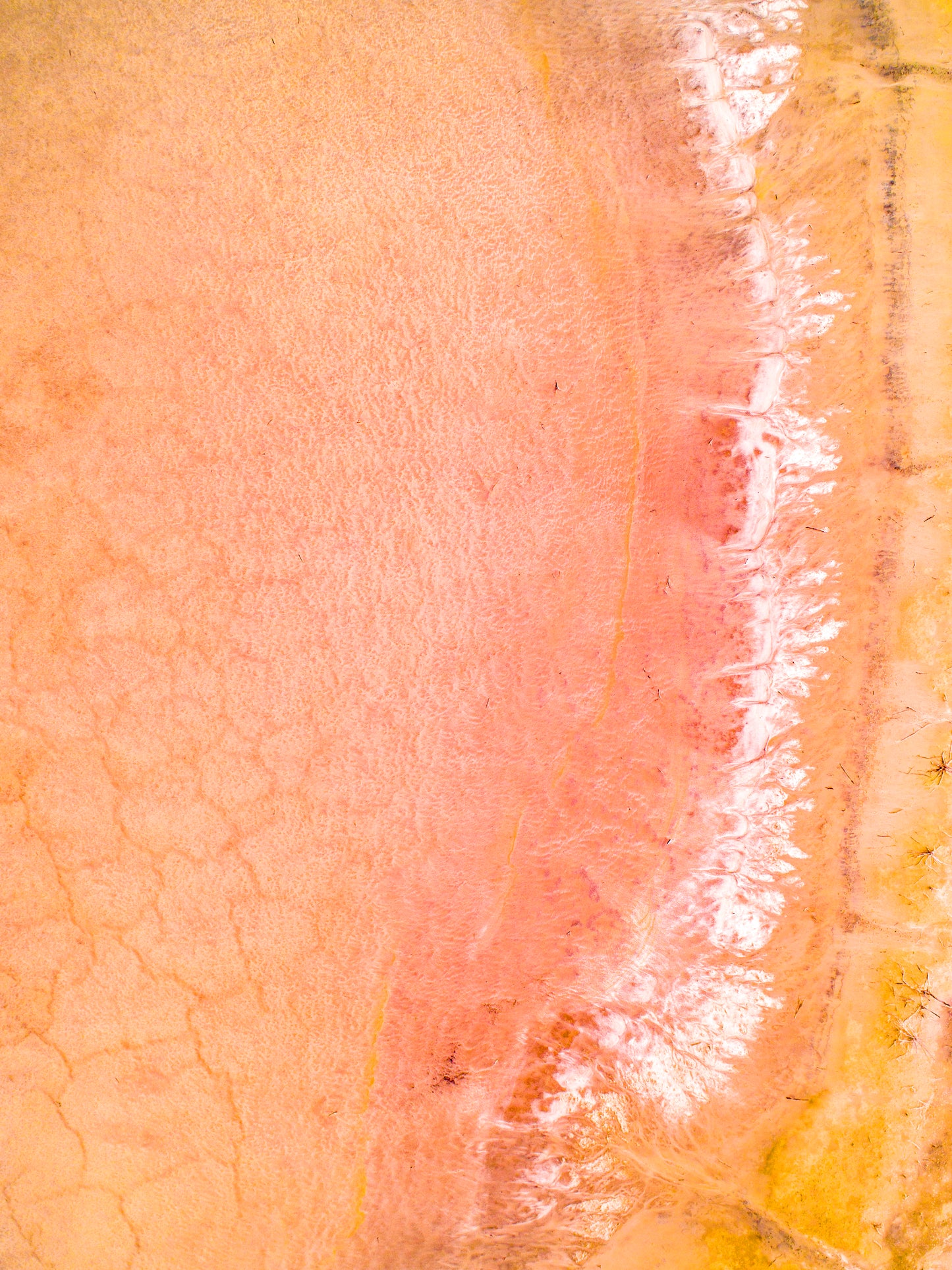 IA0339 ~ Pithara ~ Wheatbelt