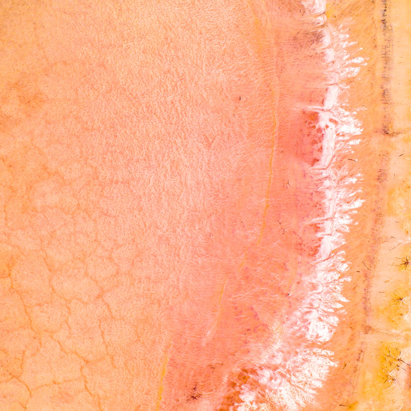 IA0339 ~ Pithara ~ Wheatbelt