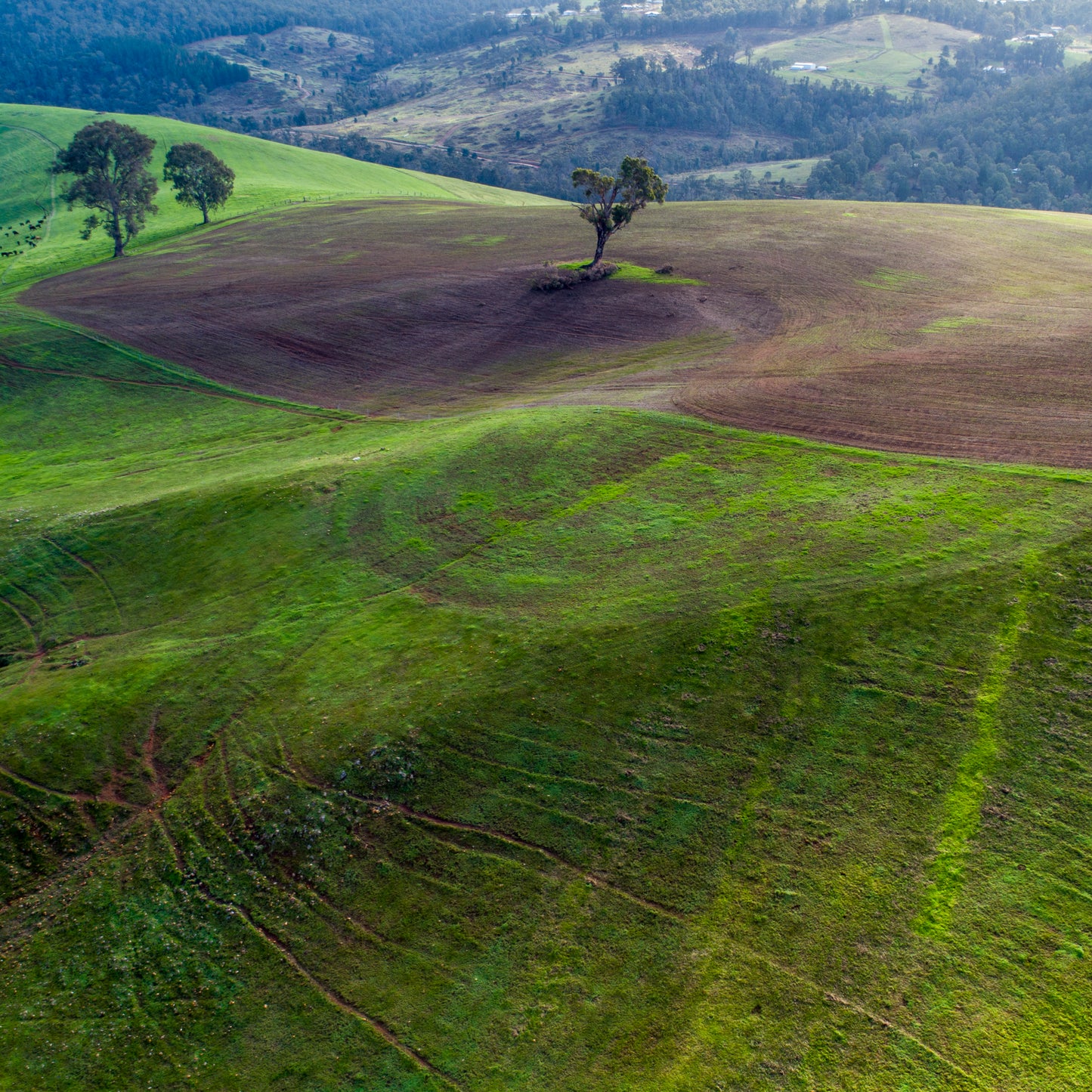 IA0510 ~ Bridgetown ~ South West