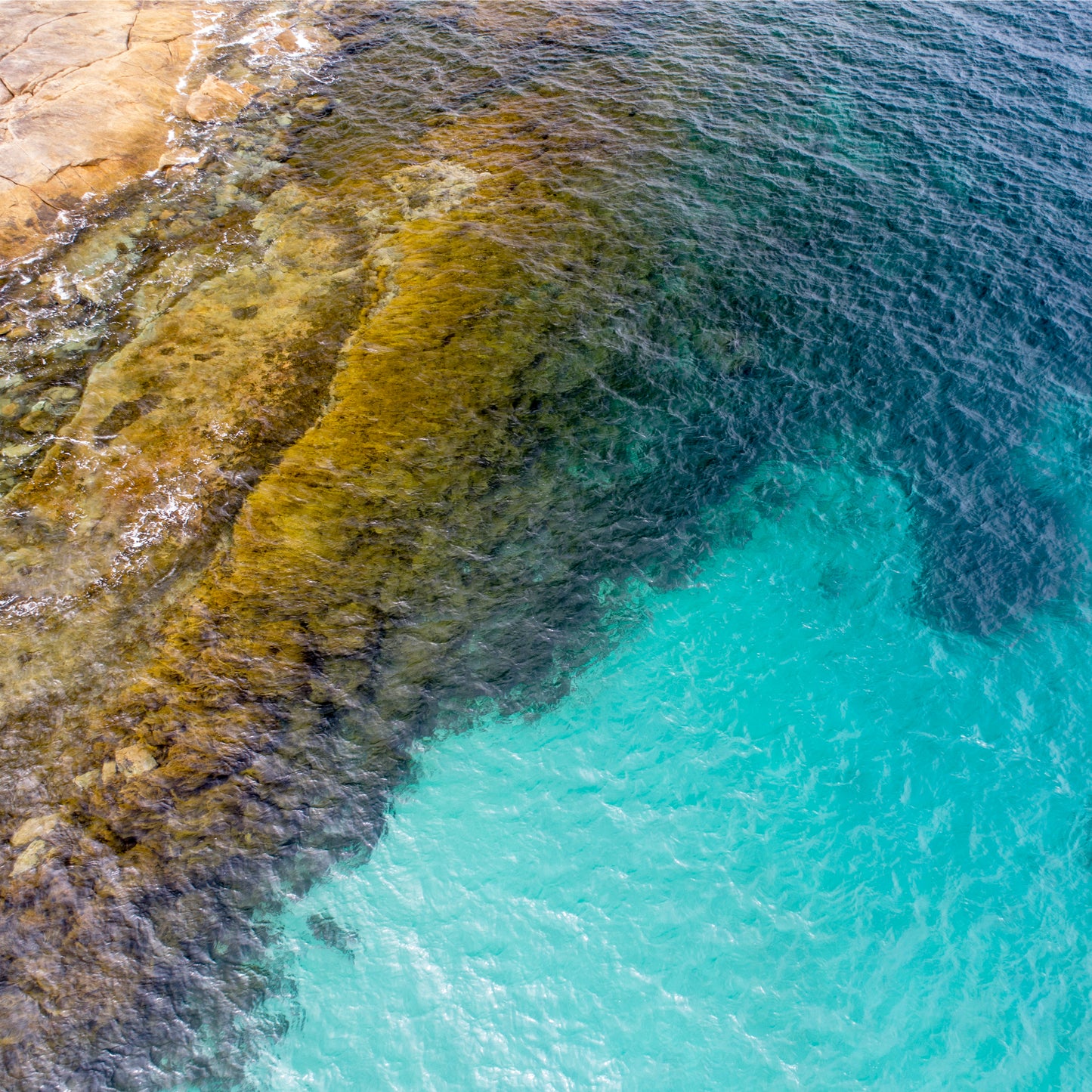 IA0029 - MUTTON BIRD BEACH
